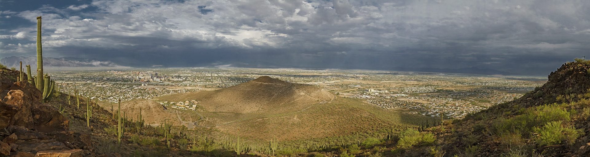 Megapixel image, 8 x 30 feet
