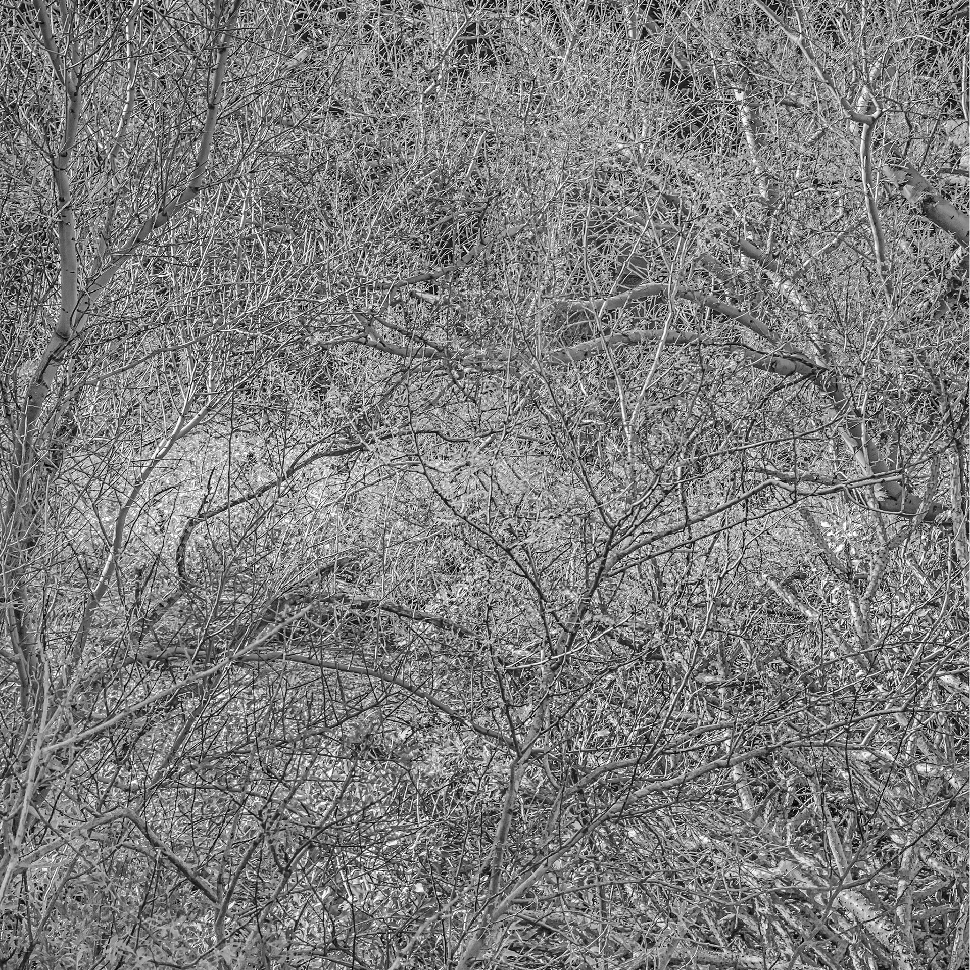 Spatial Matrix