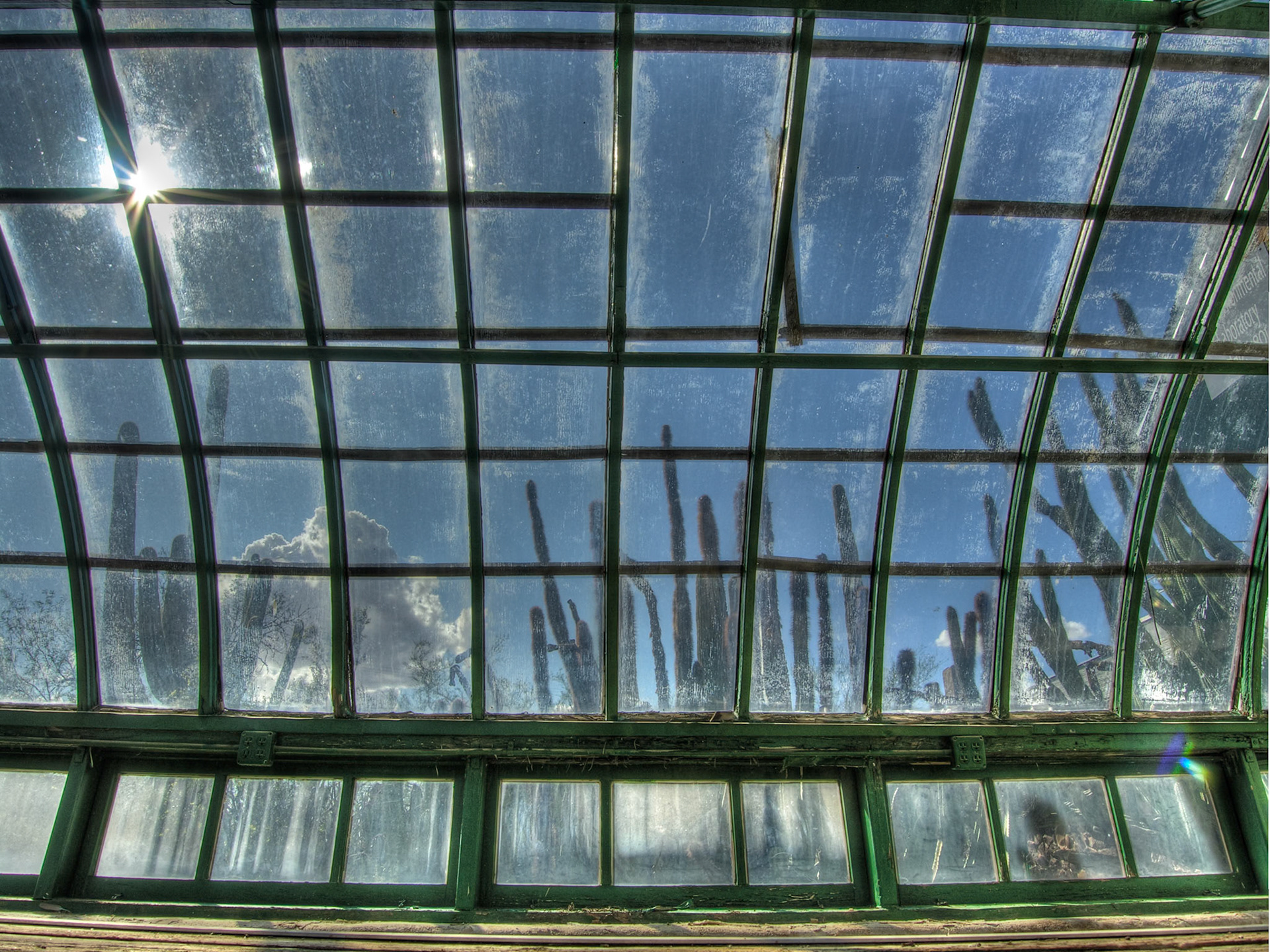 Old Tumamoc Greenhouse, 2011