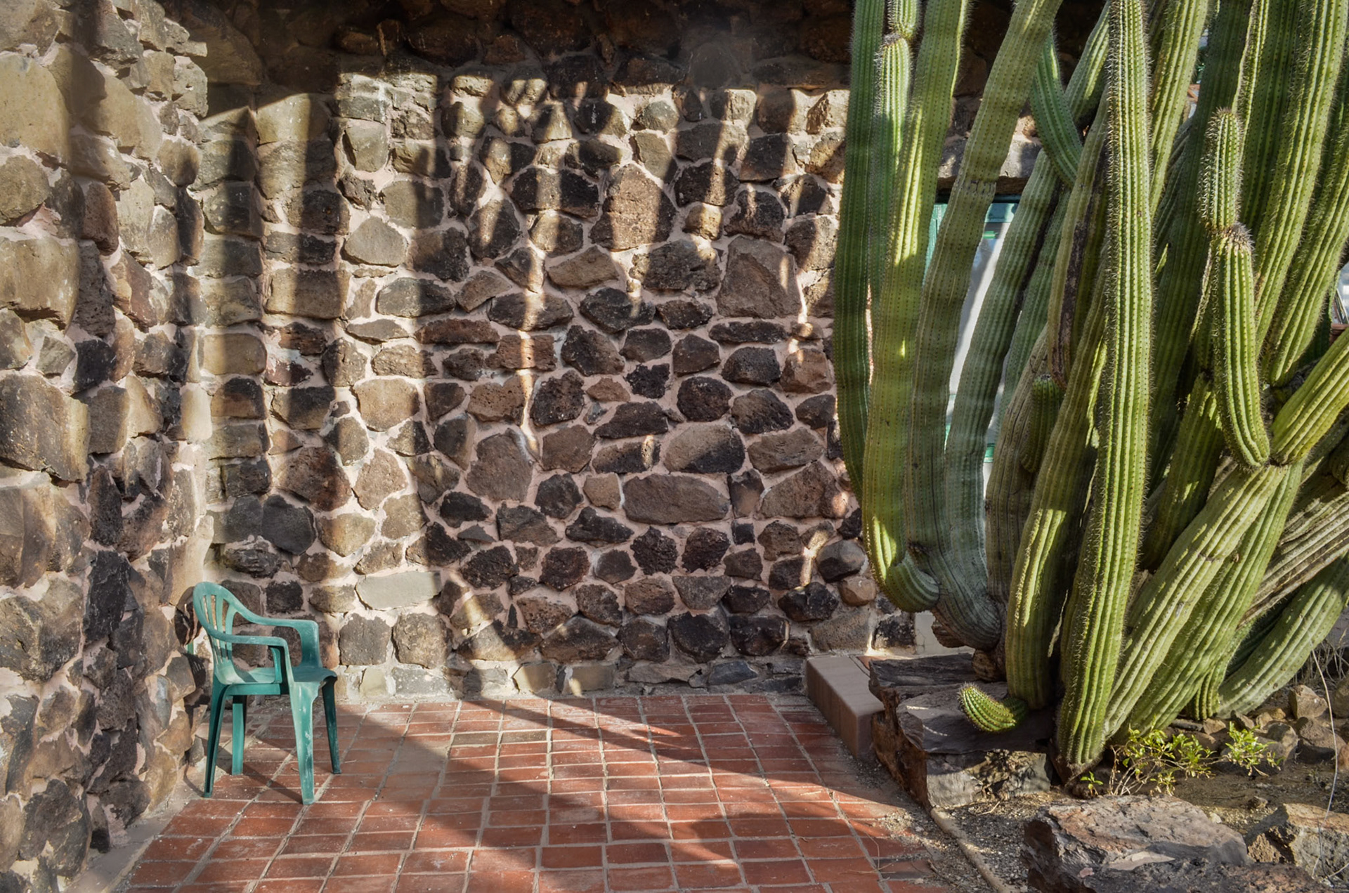 Desert Lab Patio, 2013