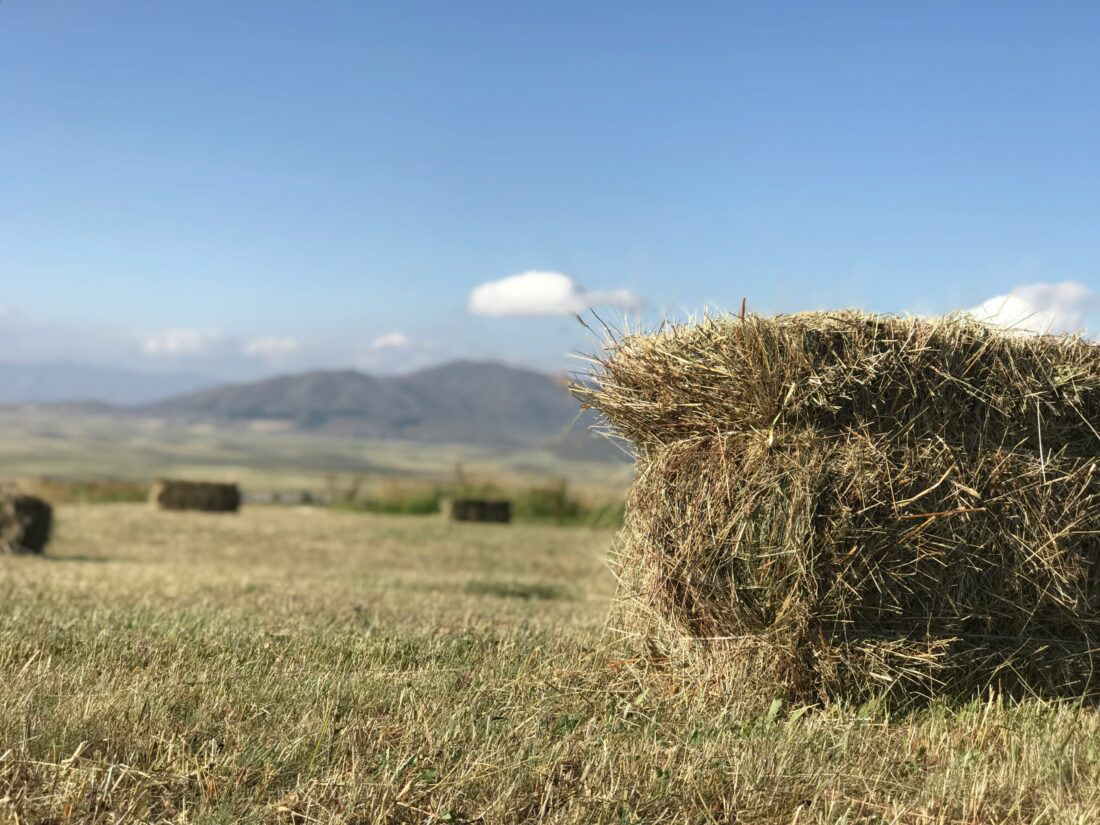 a hay bale sitting in a field with mountains in the background