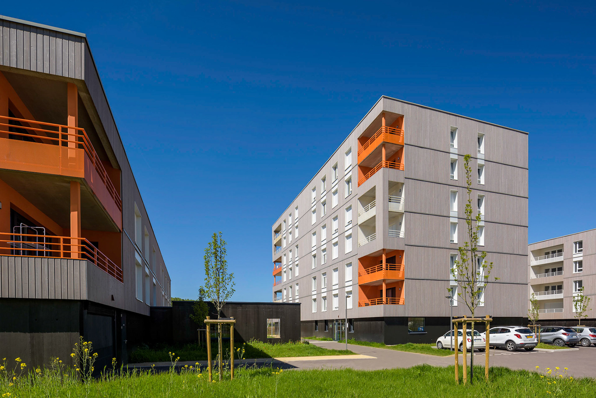 résidence étudiante et résidence jeune actif