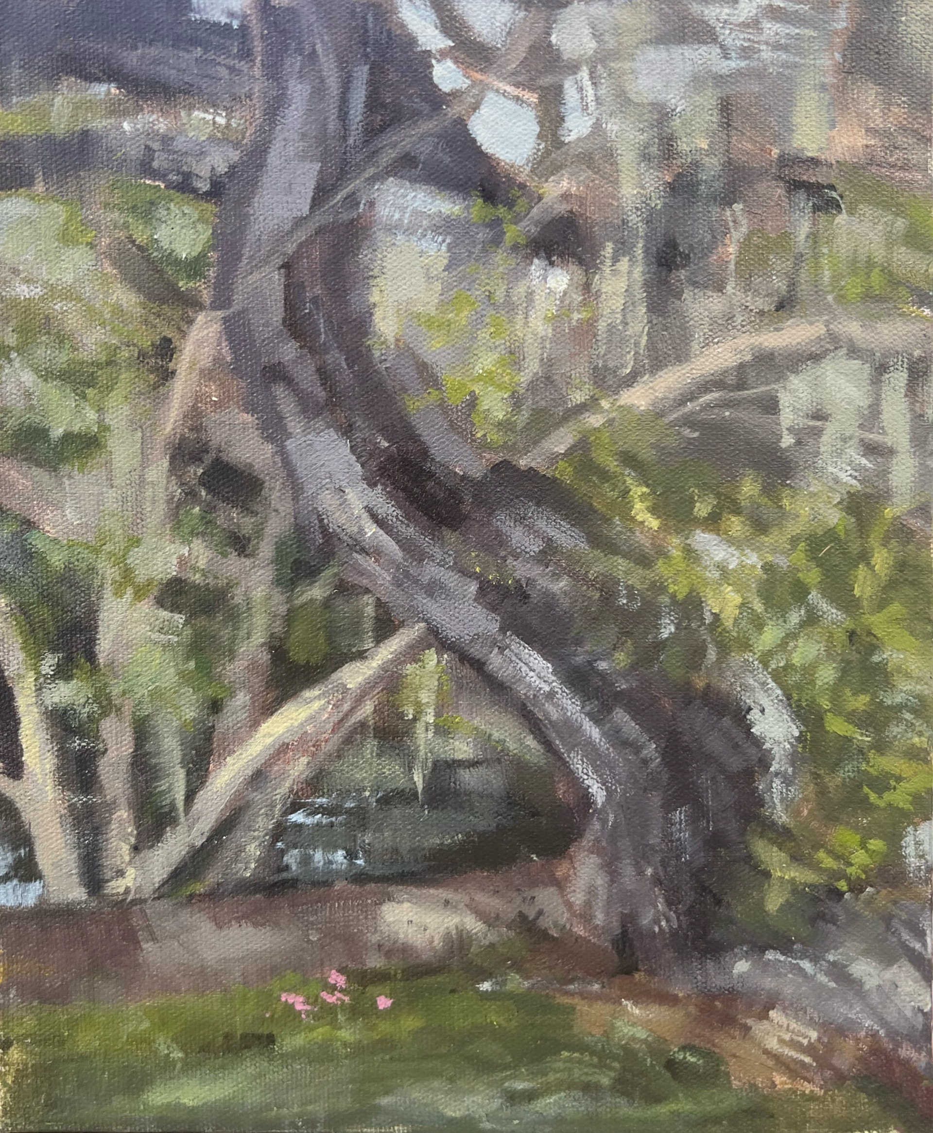 Bayou Tree: 9x12" Oil on Canvas - 2024