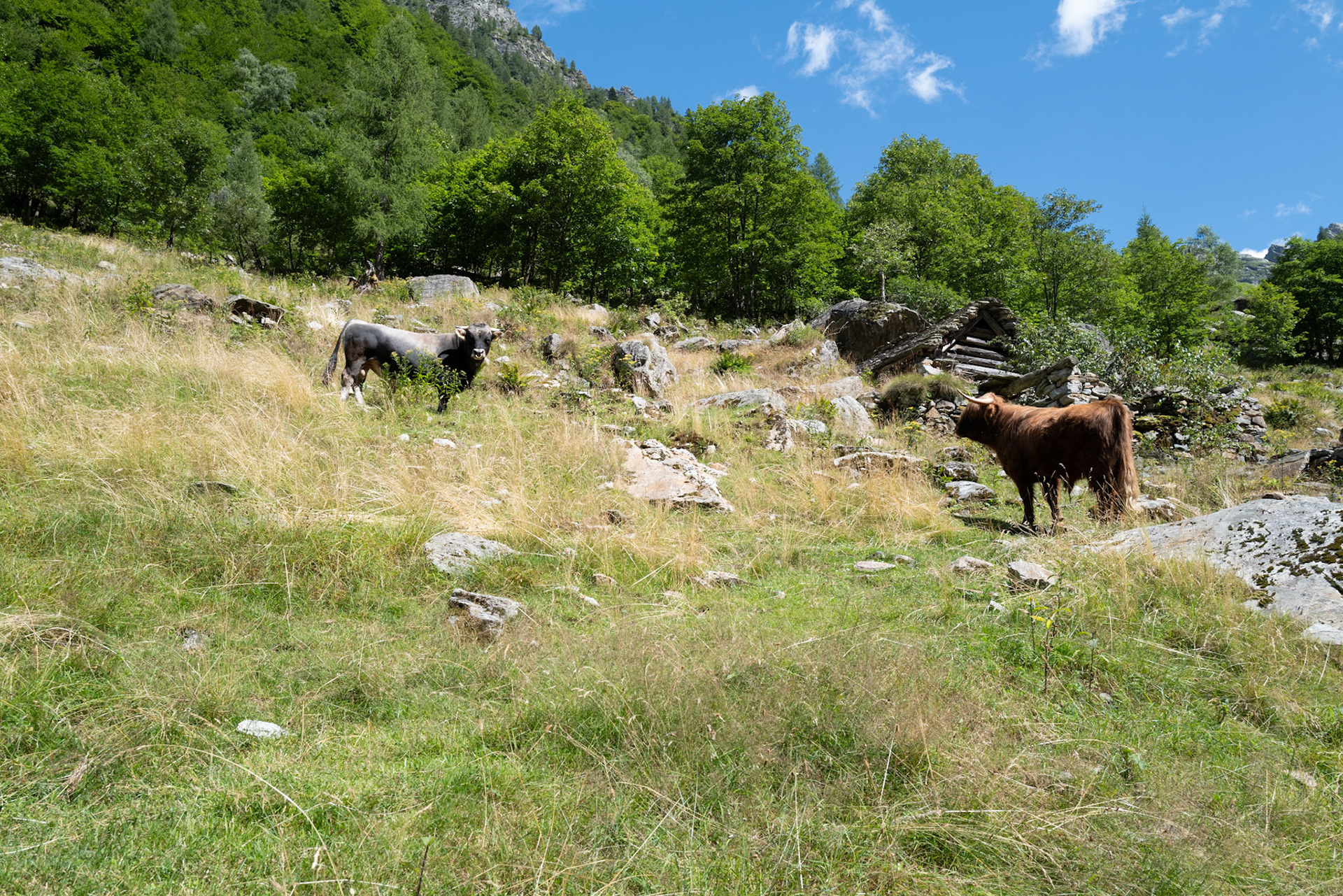 Sonogno-Sornico