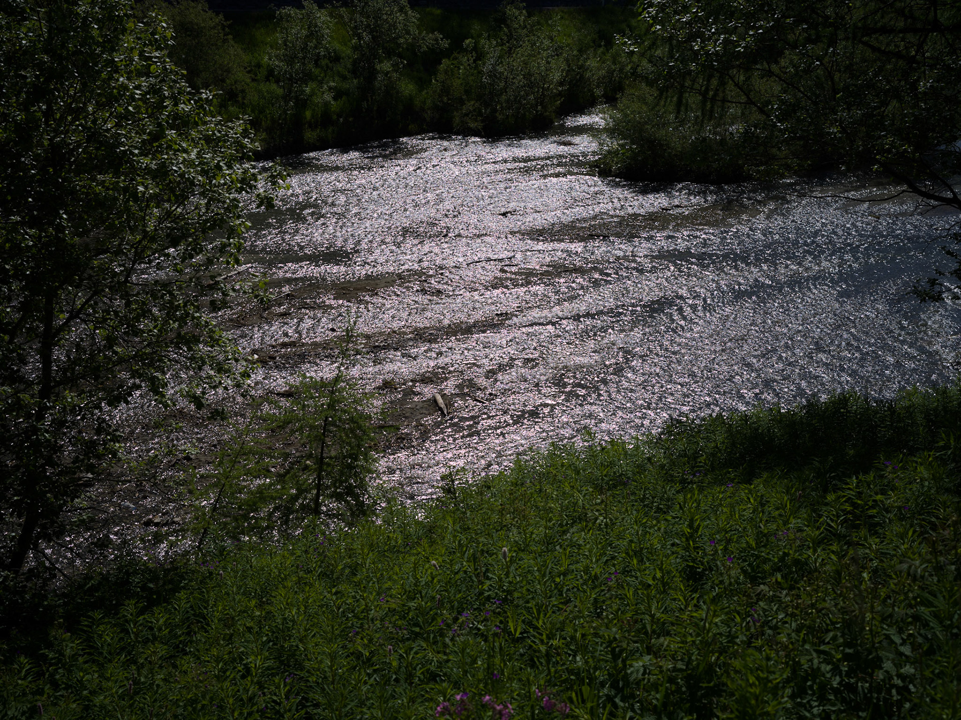 Palü dals Lais