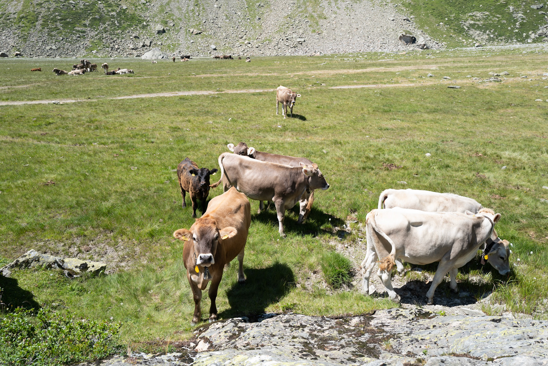 Seewenhütte