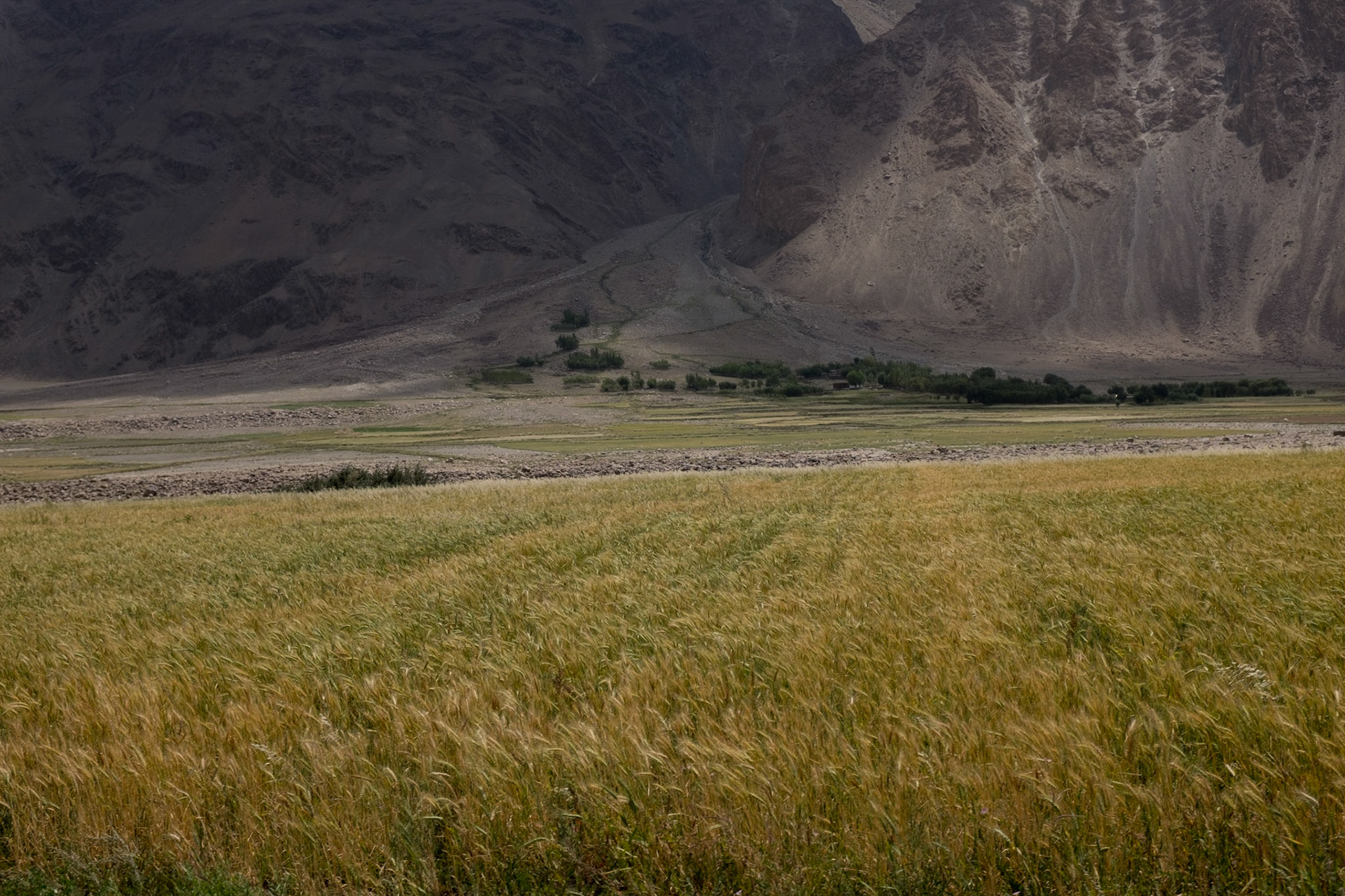 Darshai Tajikistan