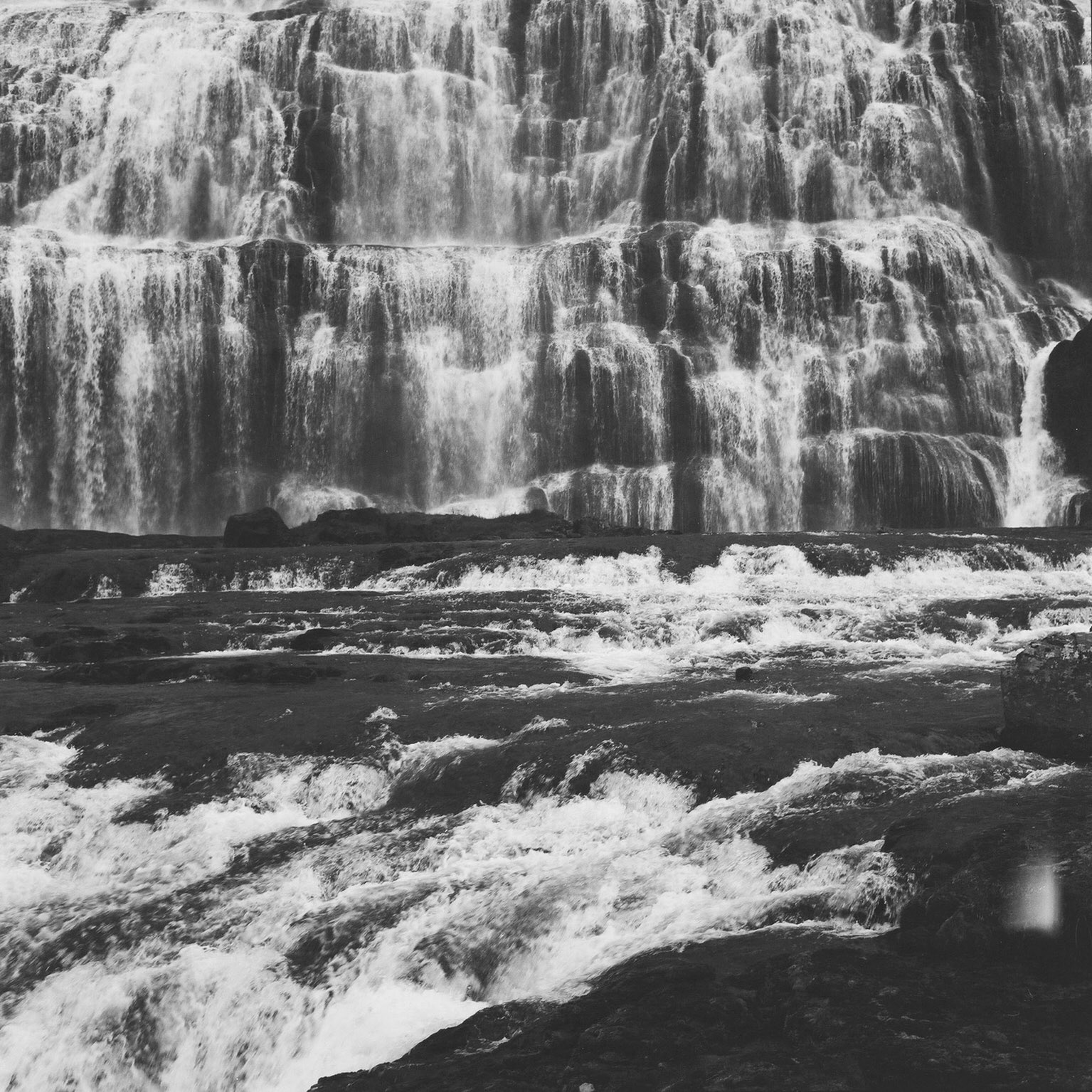 Dynandifoss