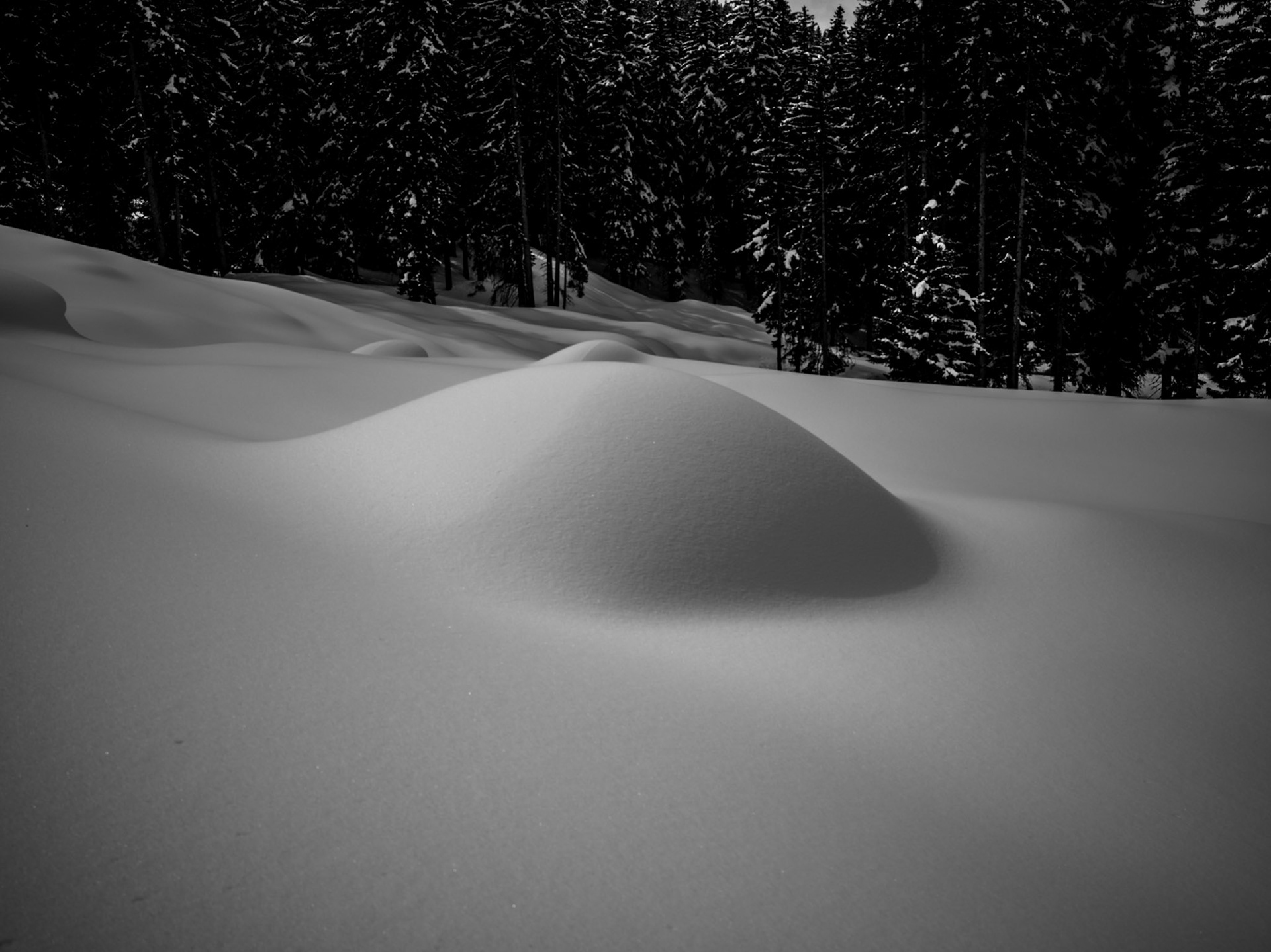 Curaglia snow shoe tour