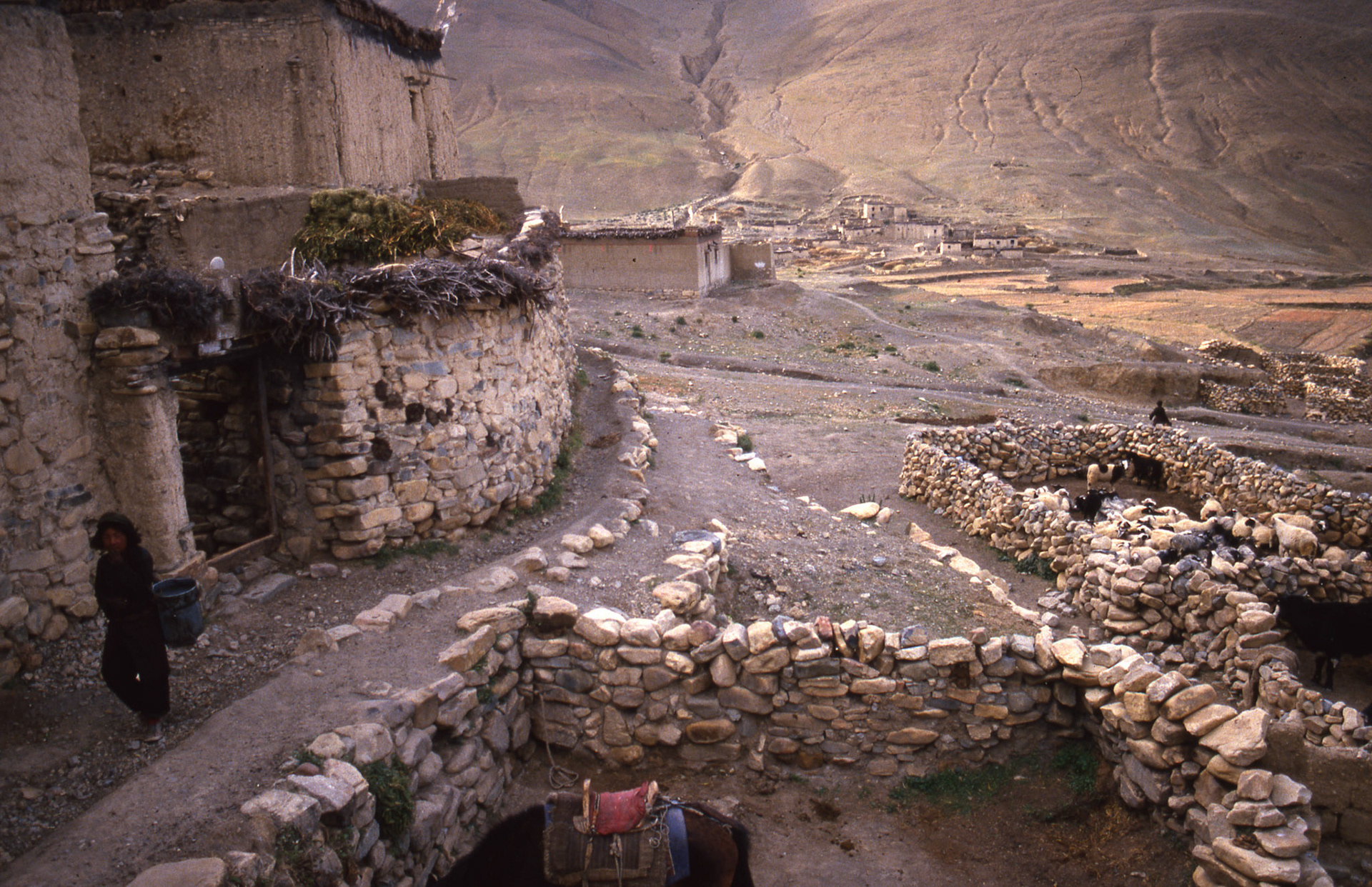 Tingri