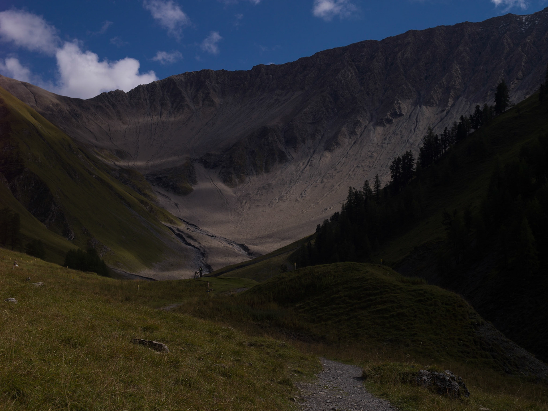 Val Trupchun SNP