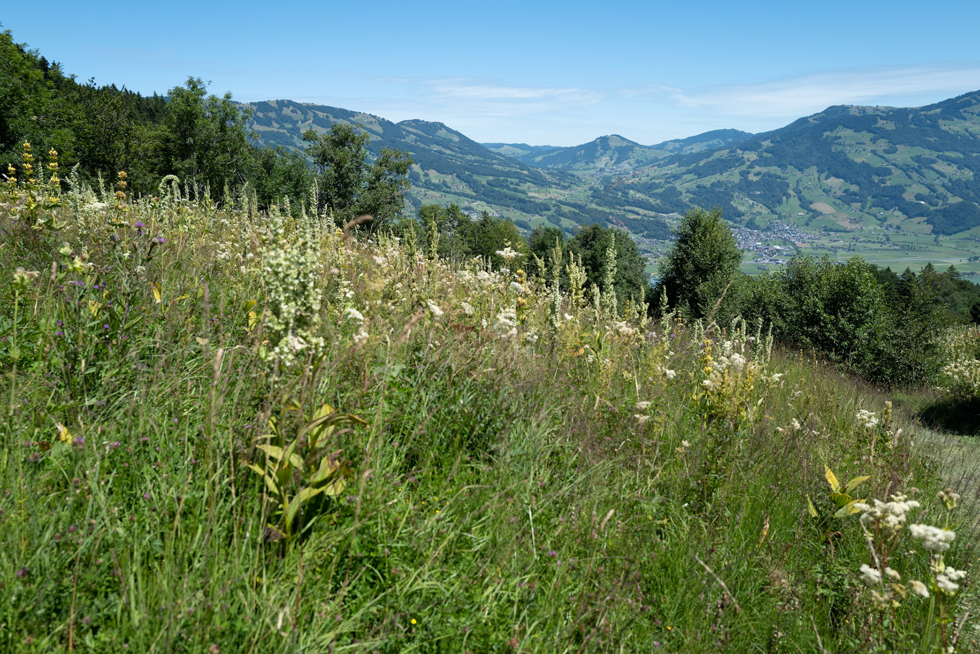Arth-Goldau