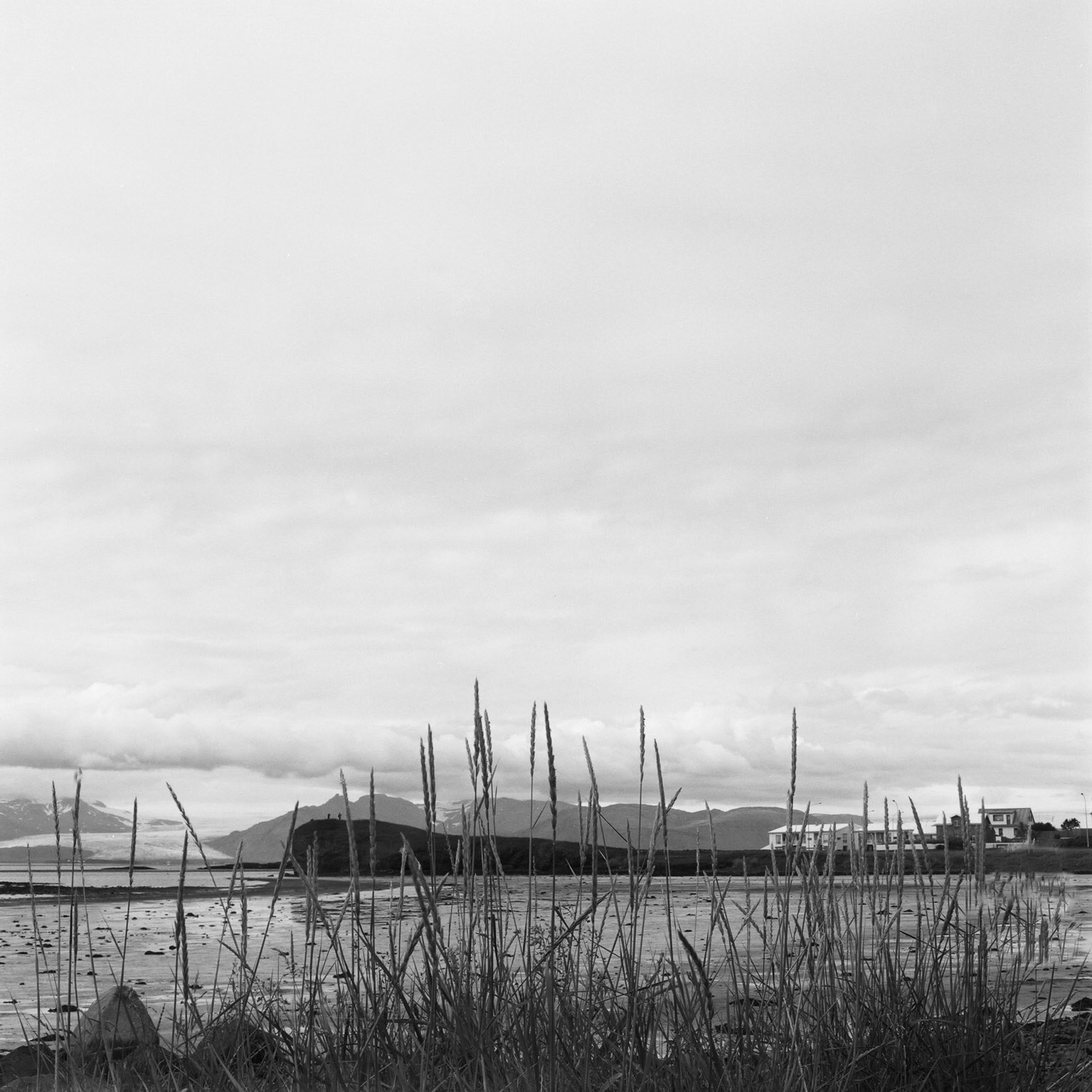 Höfn