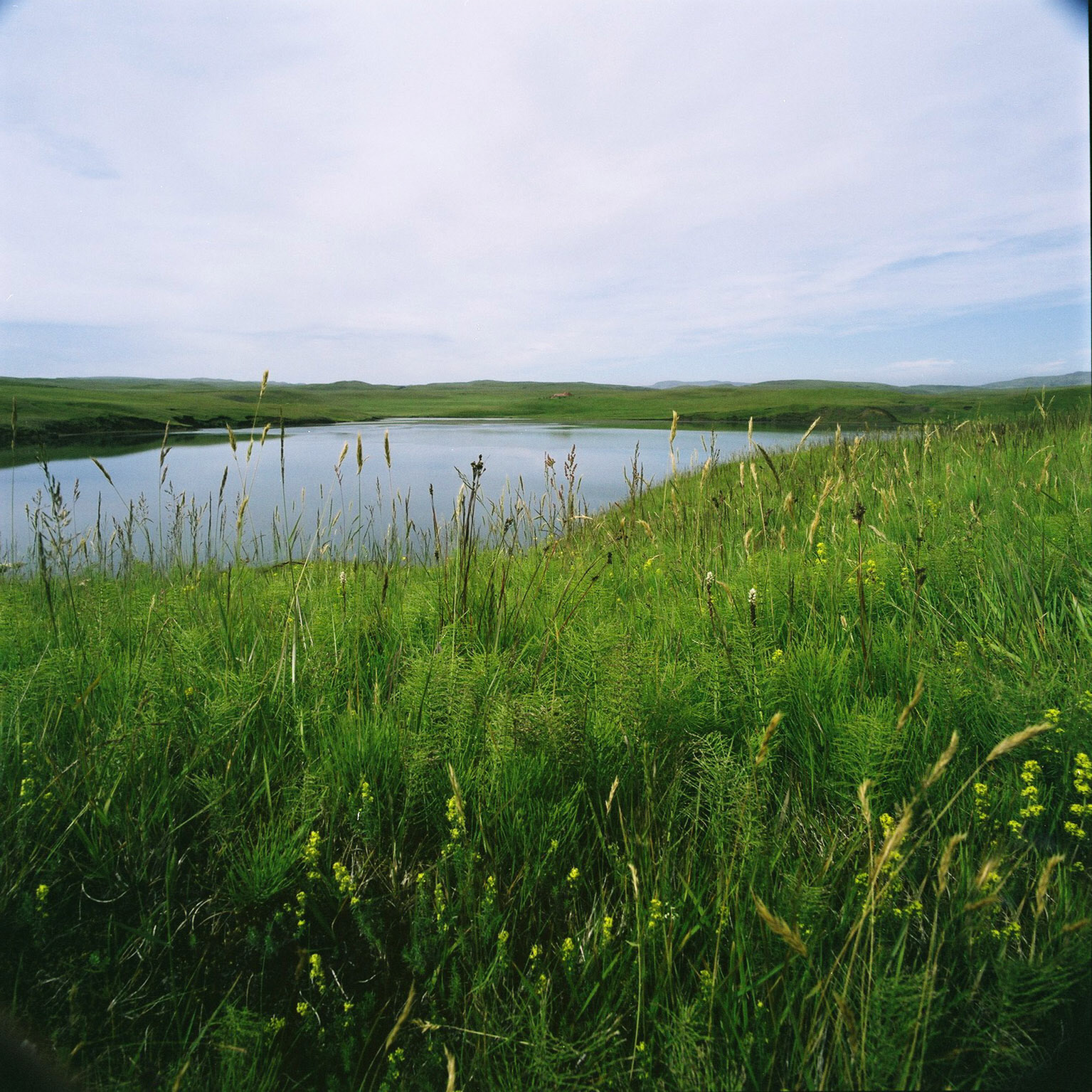 Systravatn