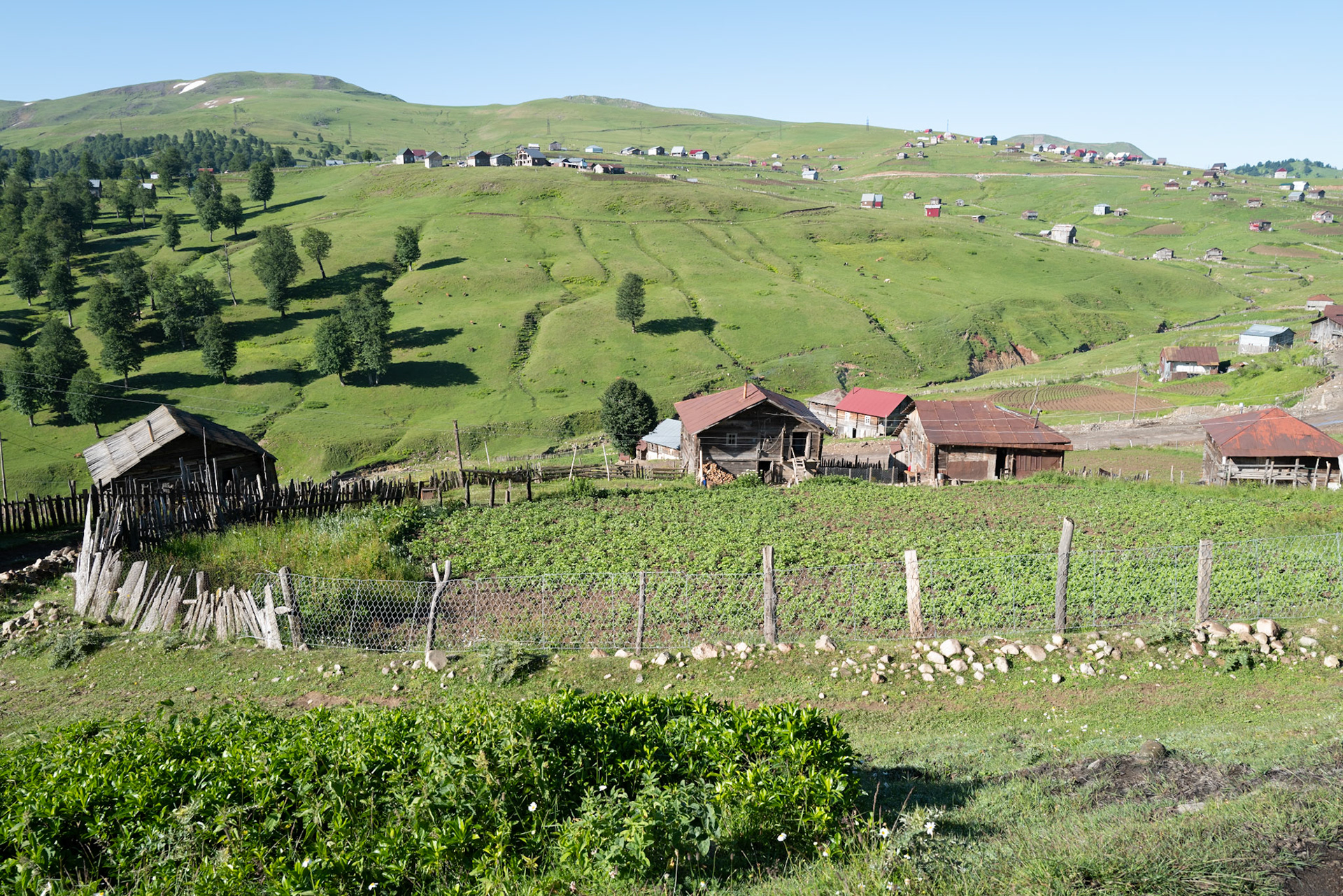 Goderdzi