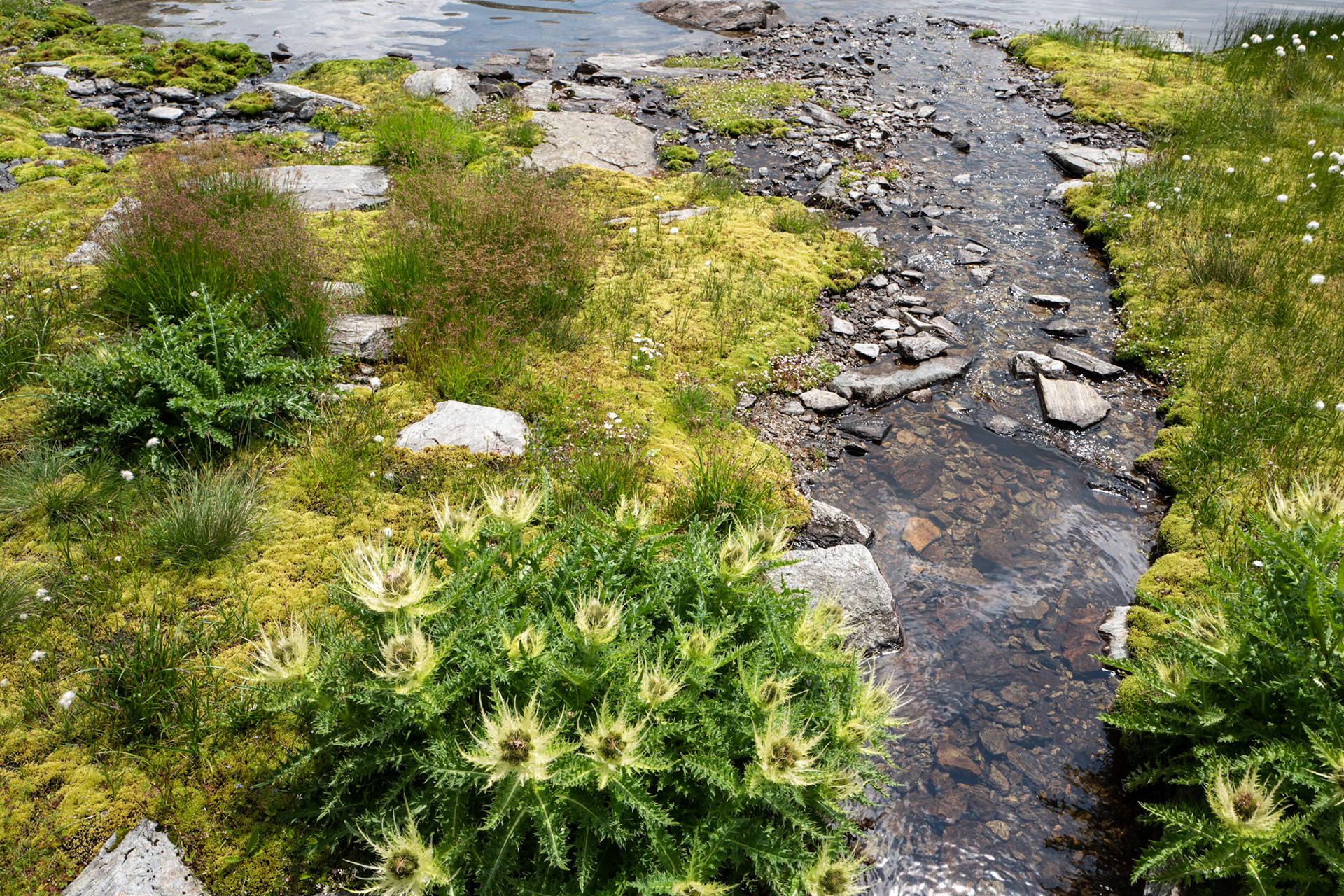 Tributary to Lai Blau
