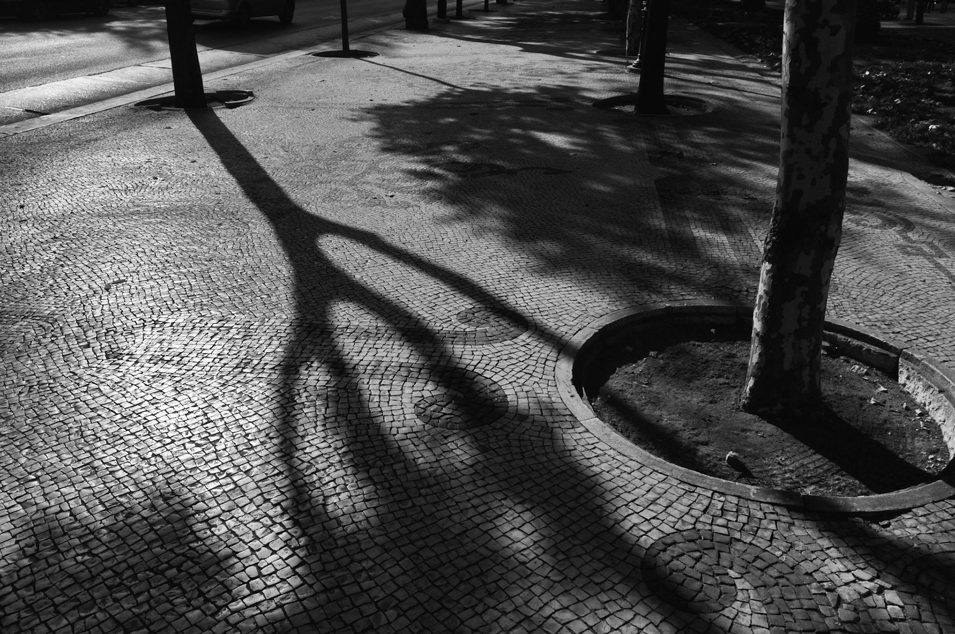 Lisbon