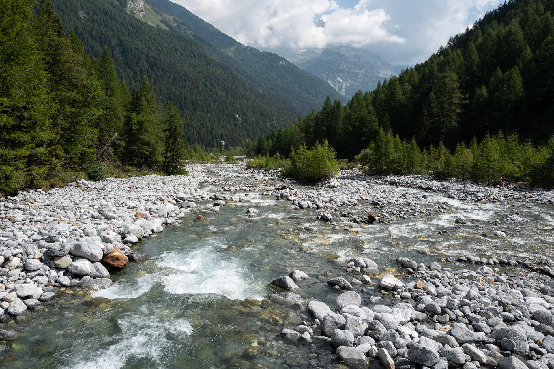 Torrente Mallero
