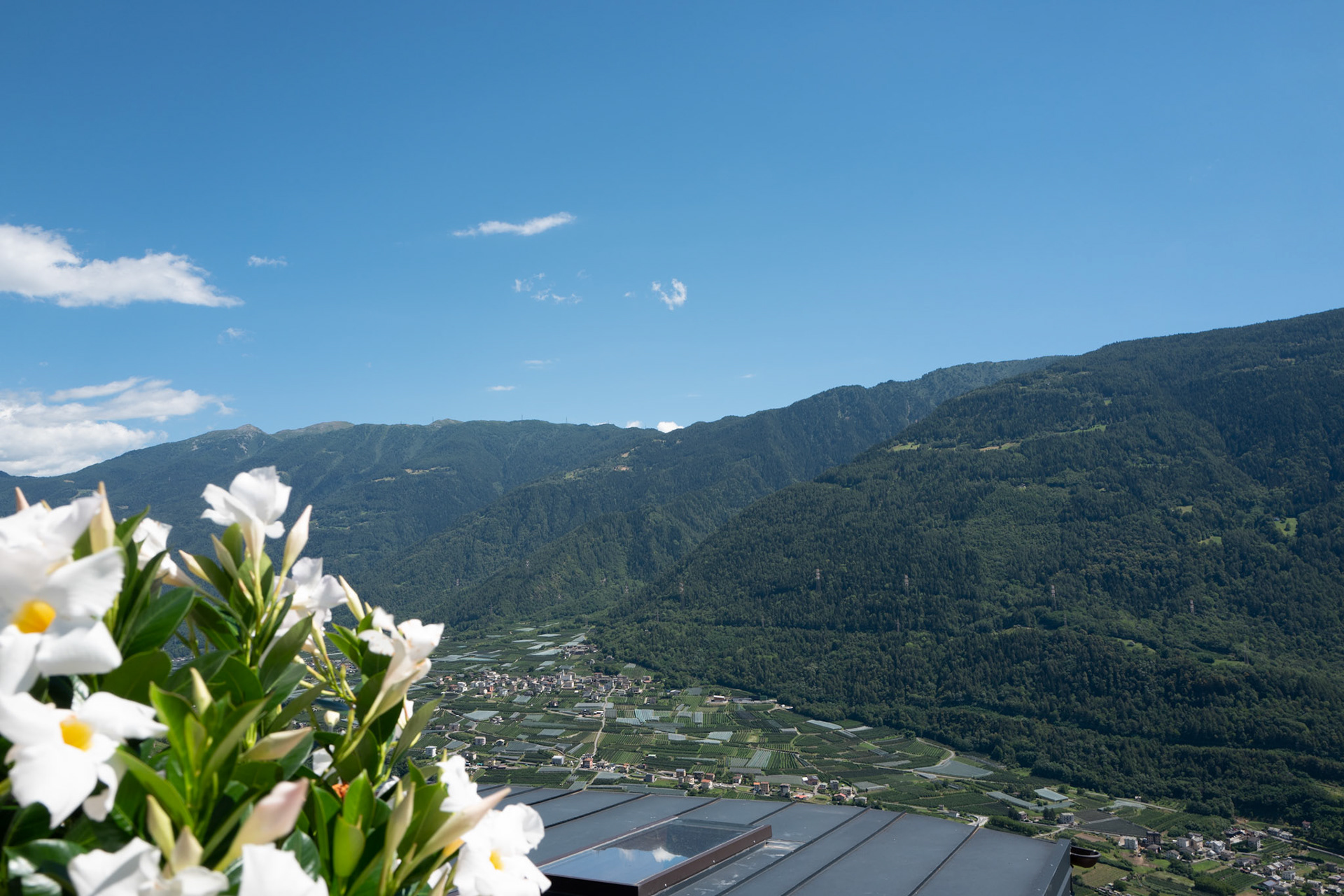 Above Tirano