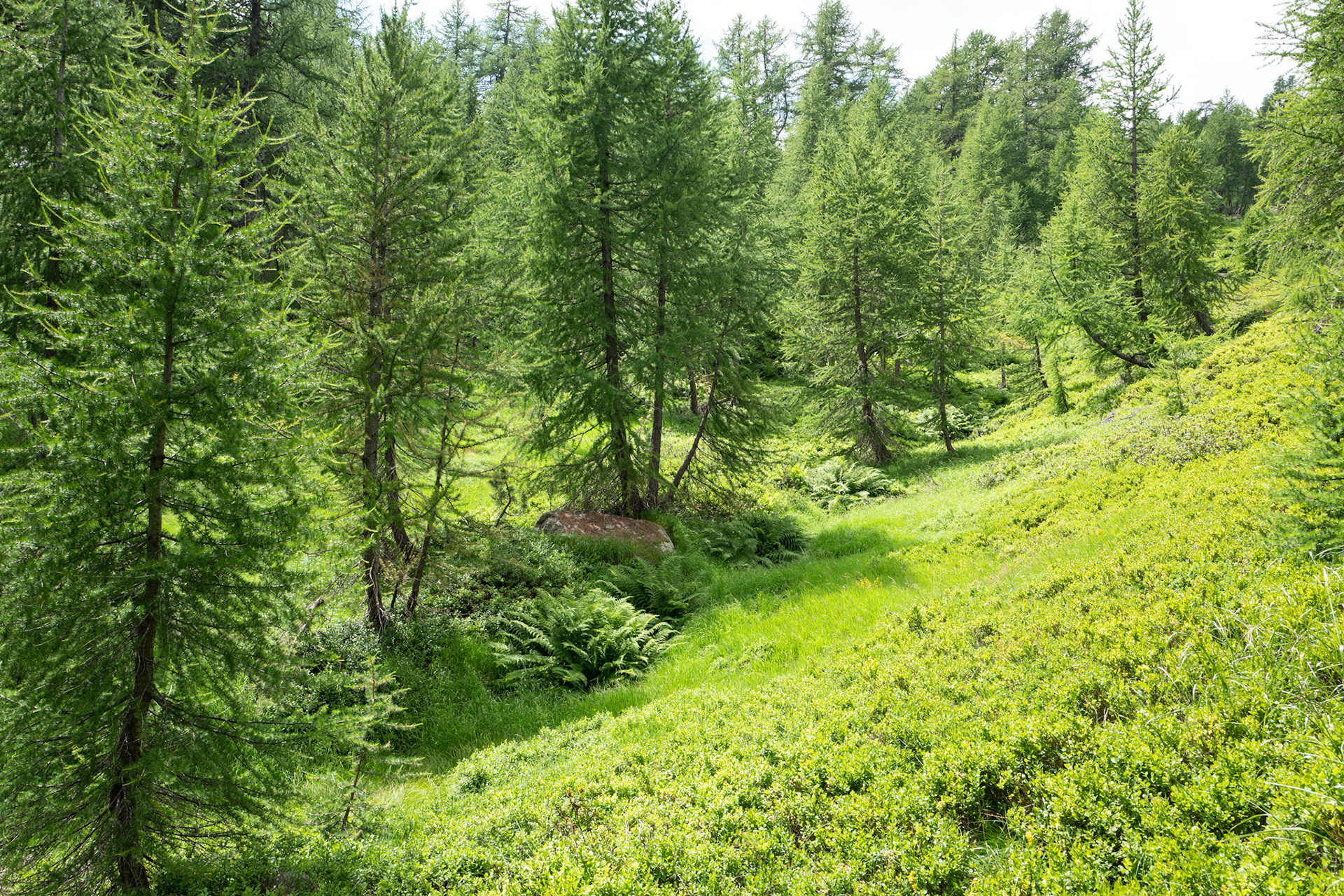 Blenio valley