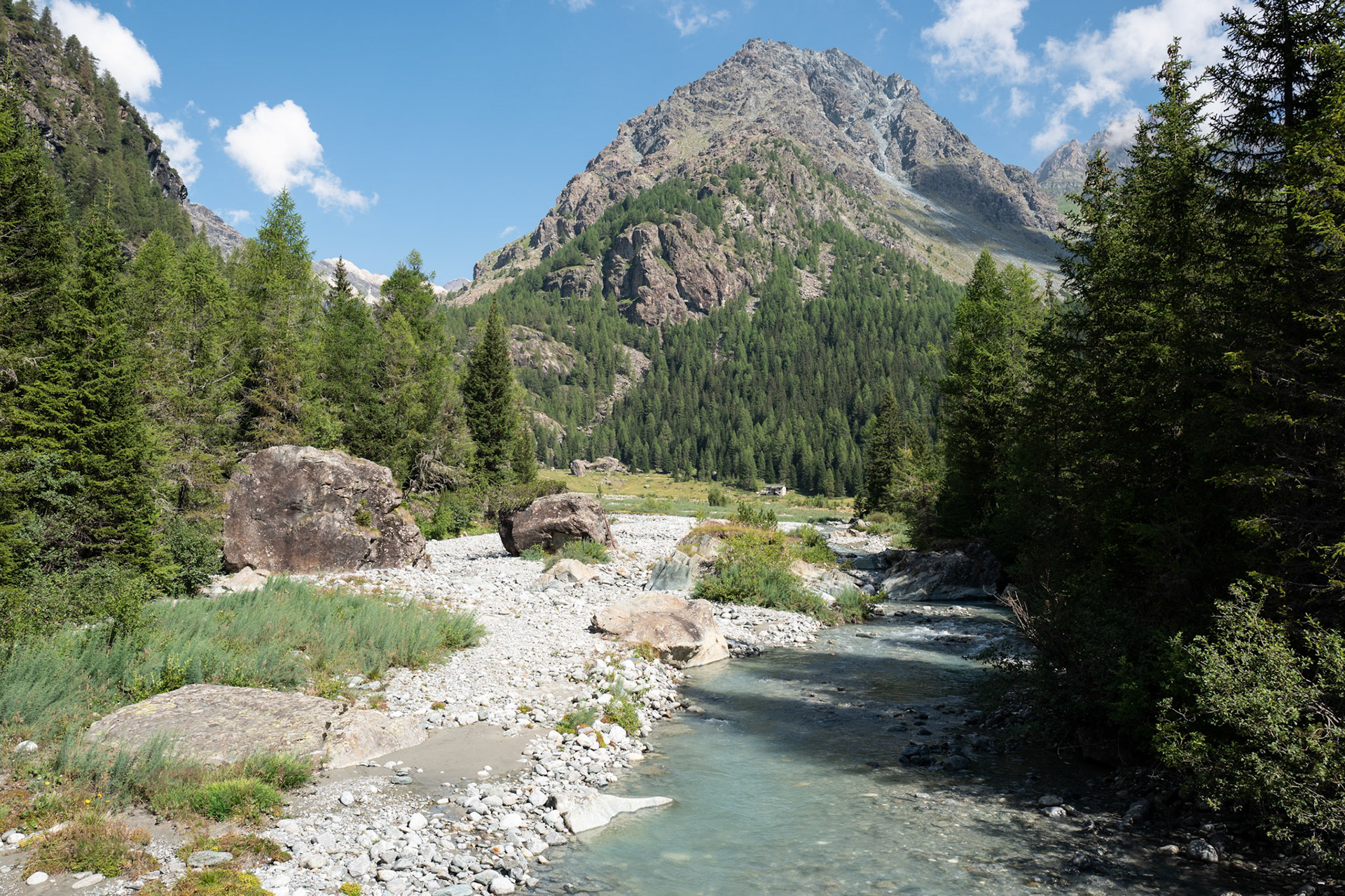 Alpe Campascio