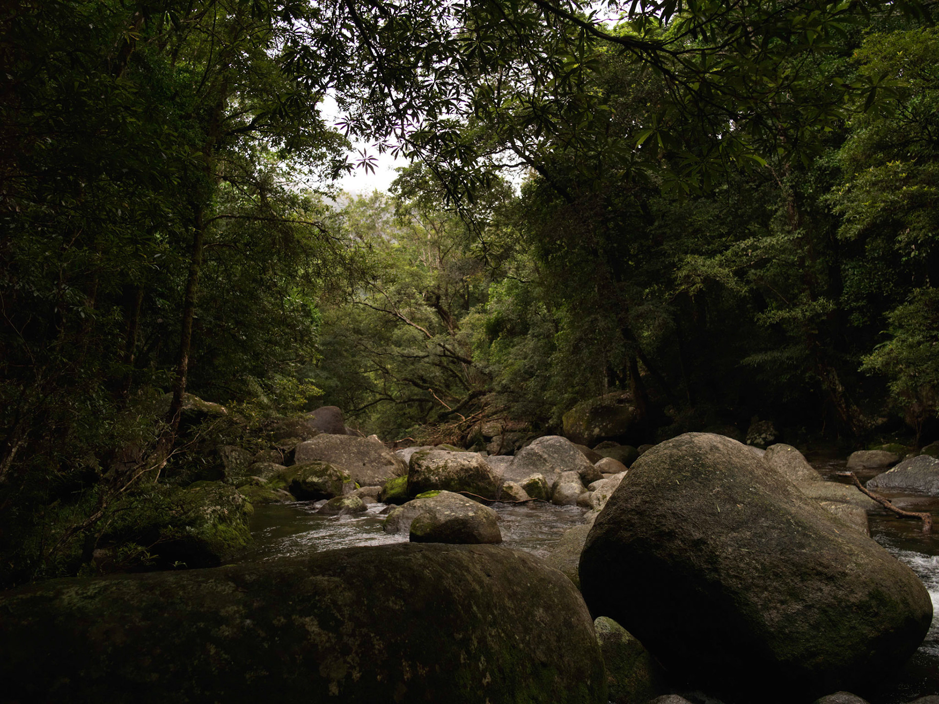 Mossman AUS