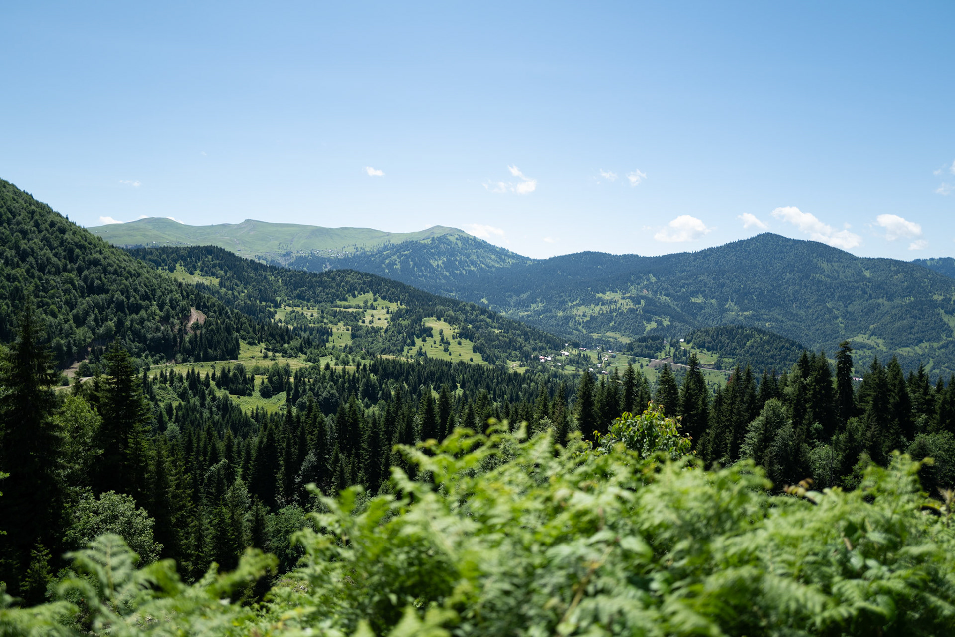 Goderdzi