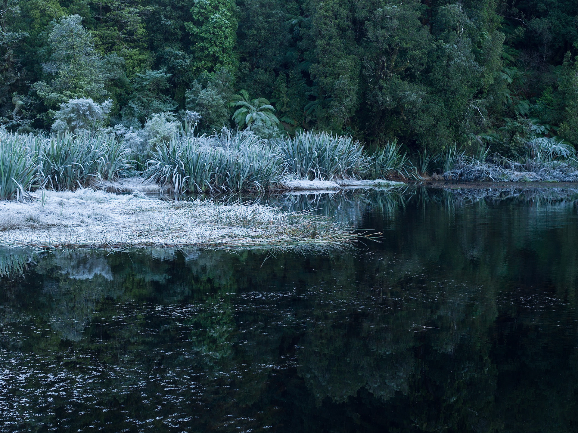 Lake Matheson NZ