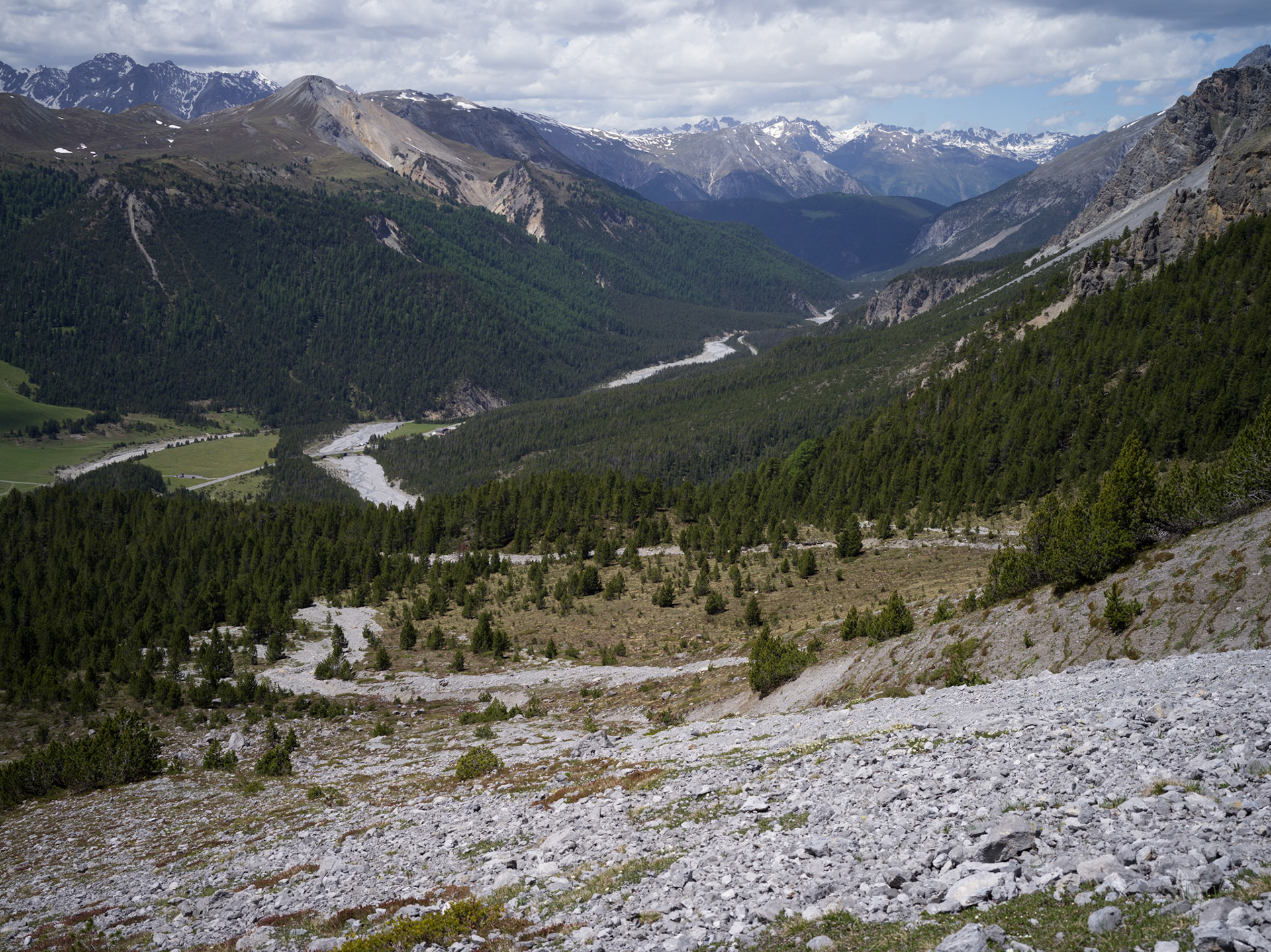 View into Swiss National Park