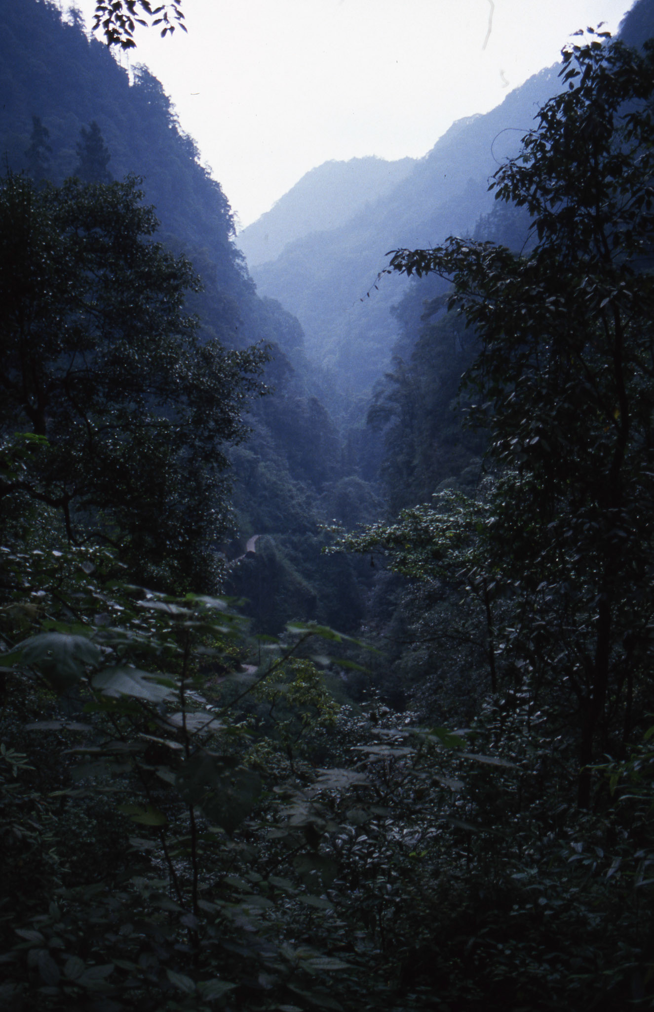 Emei Shan