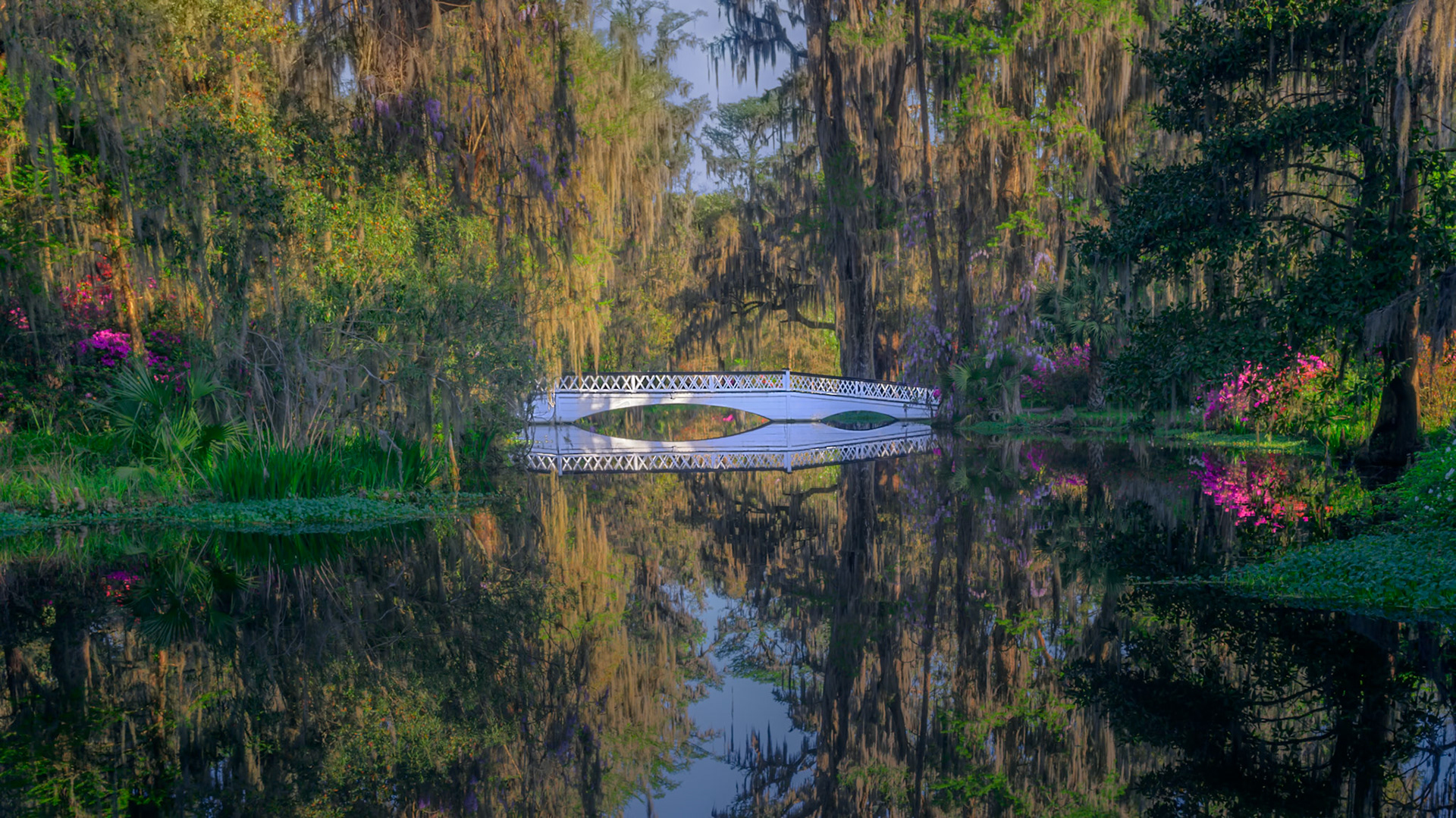 White Bridge at Magnolia Plantation