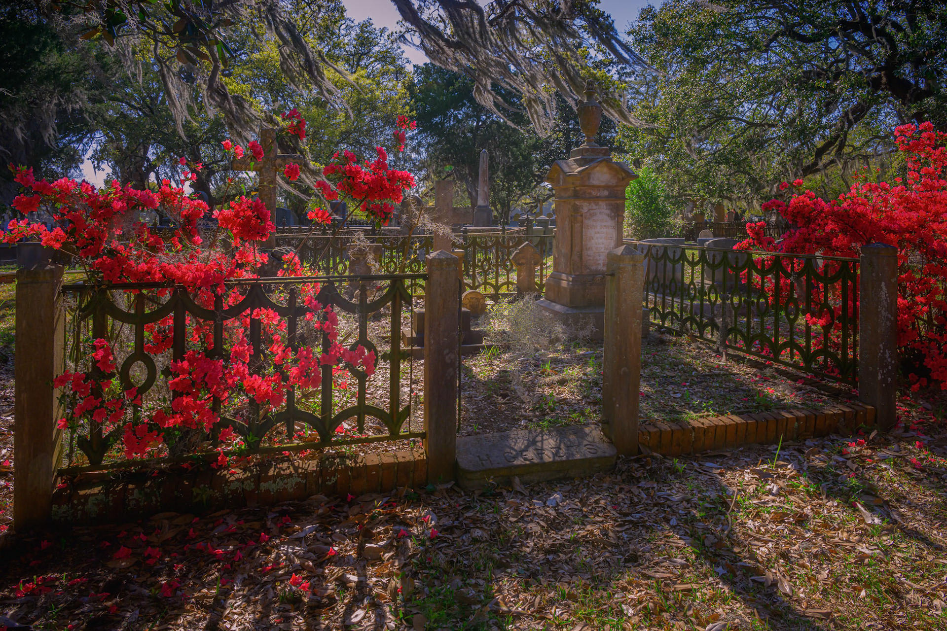 Magnolia Cemetary II