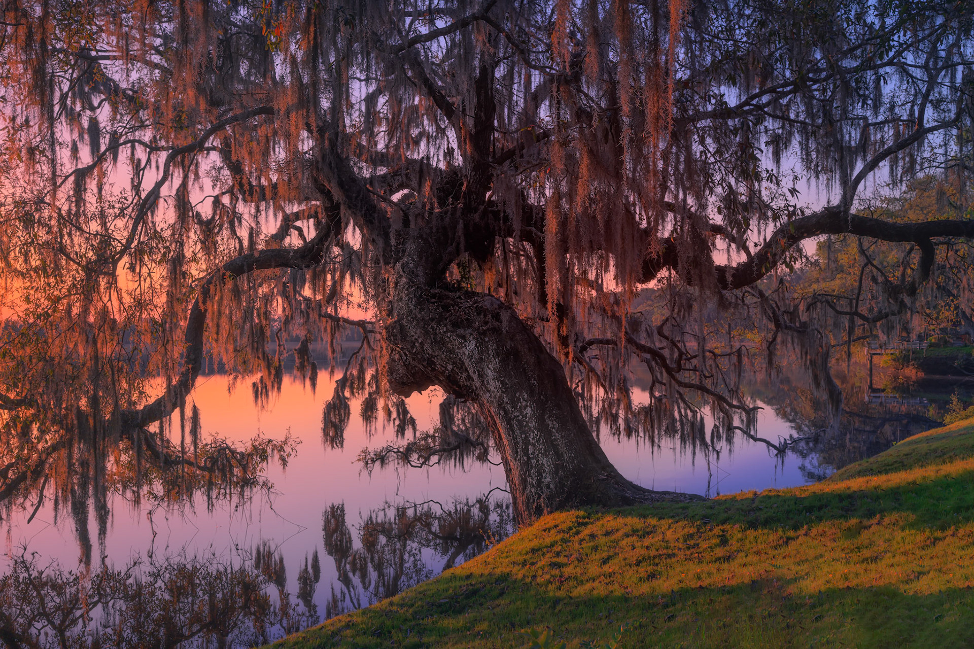 Sunrise on the Ashley River II