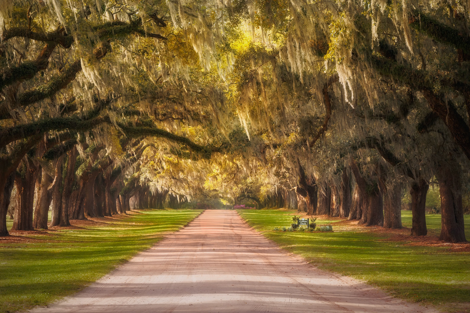 Avenue of the Oaks