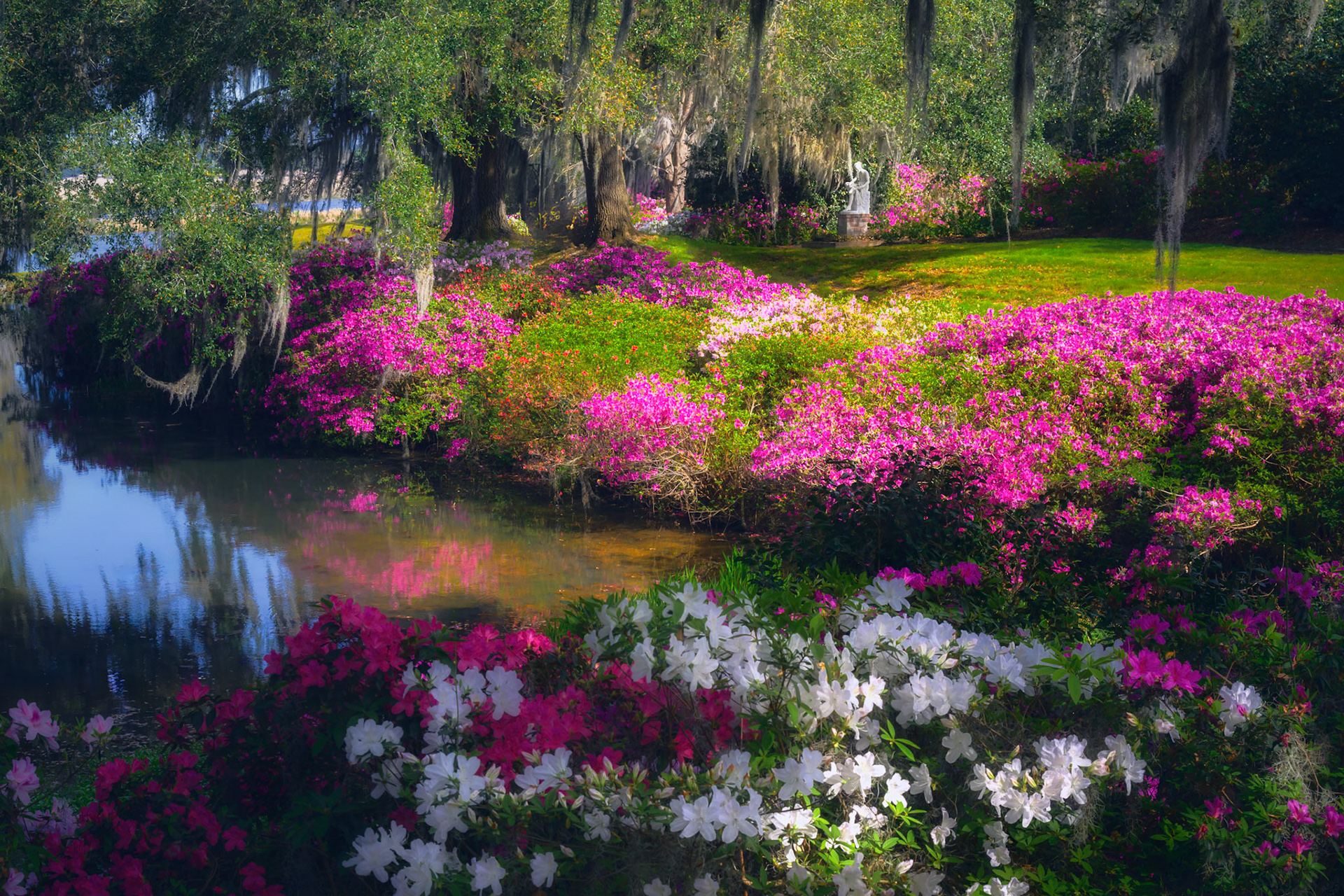 Middleton Place I