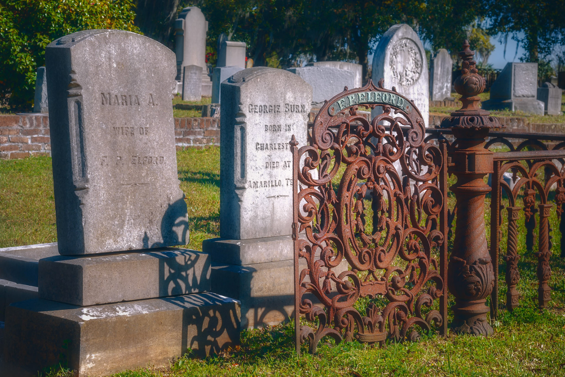 Magnolia Cemetary I