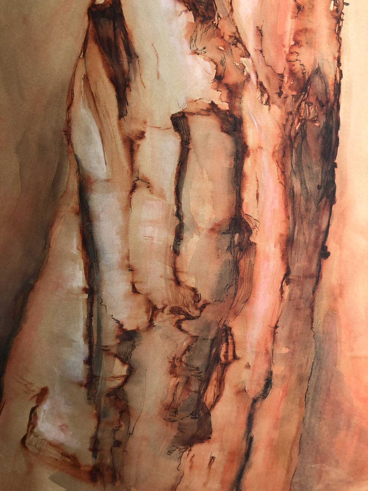 Torso 5, 22"x15", Ink and watercolor
