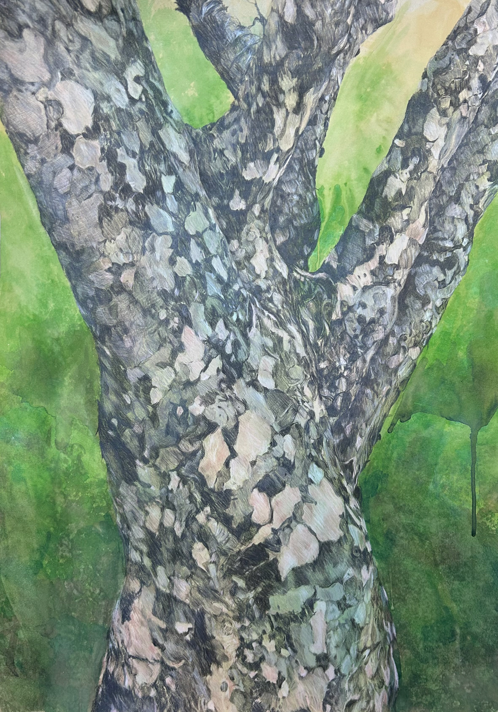 Torso 11, Watercolor and watercolor pencils on paper