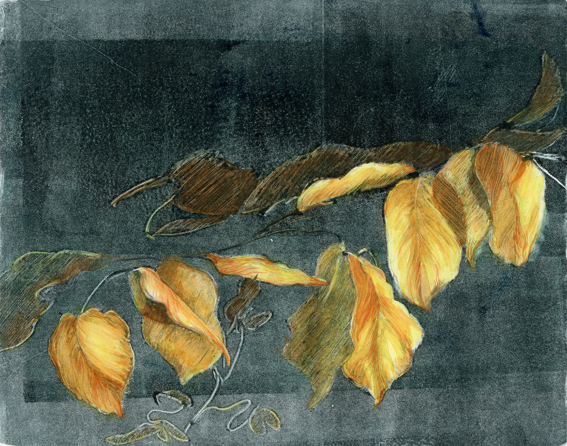 Branch with Leaves 2 (ghost print and watercolor)