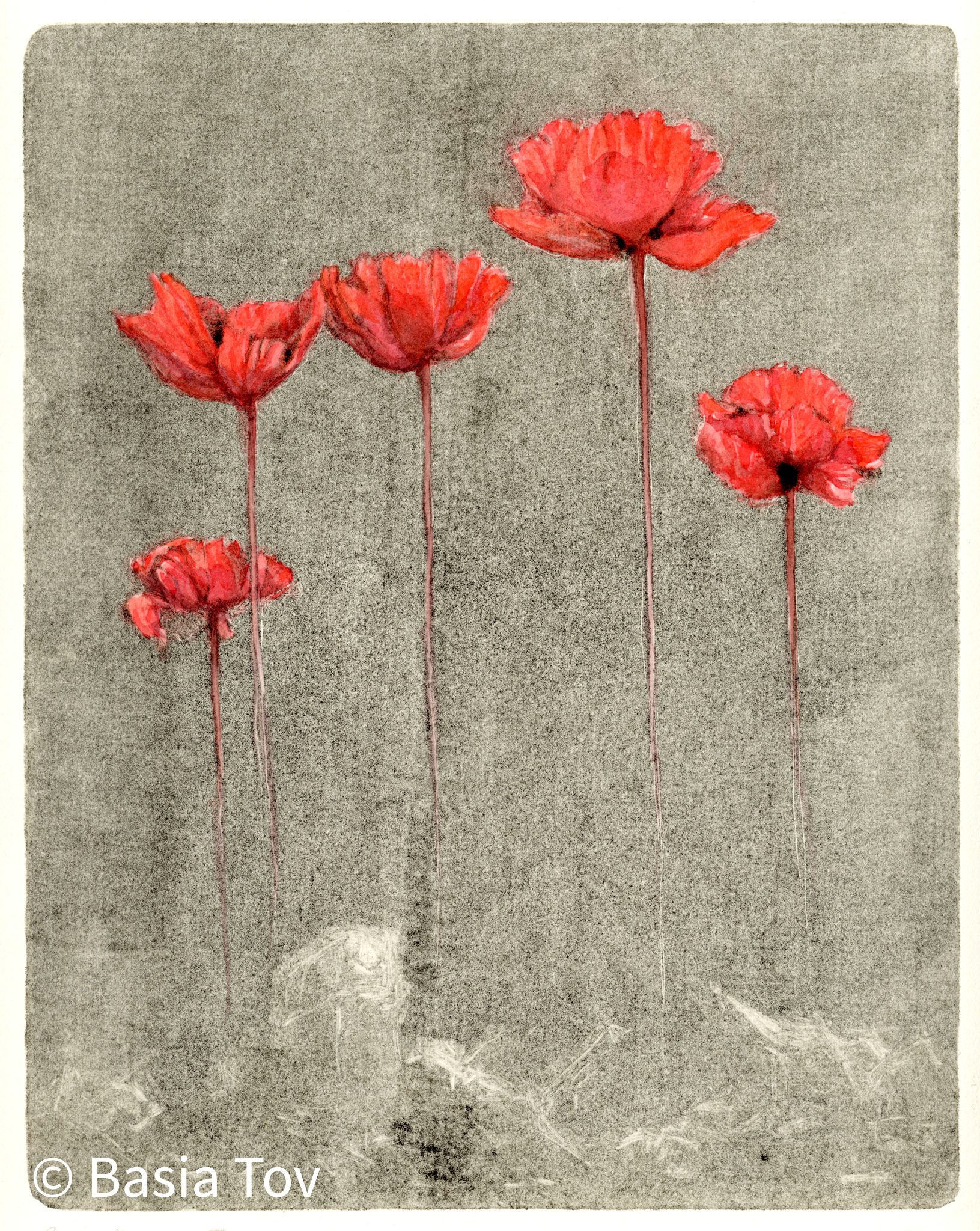 Peace Poppies - Red, Print Size 8" x 10", $210