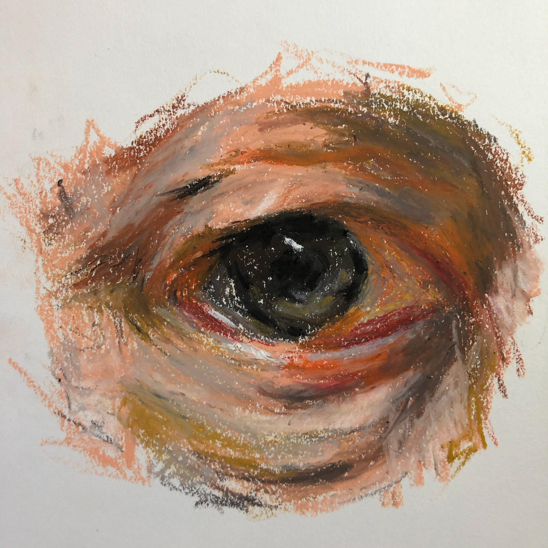 Rembrandt's eye study, Oil pastels