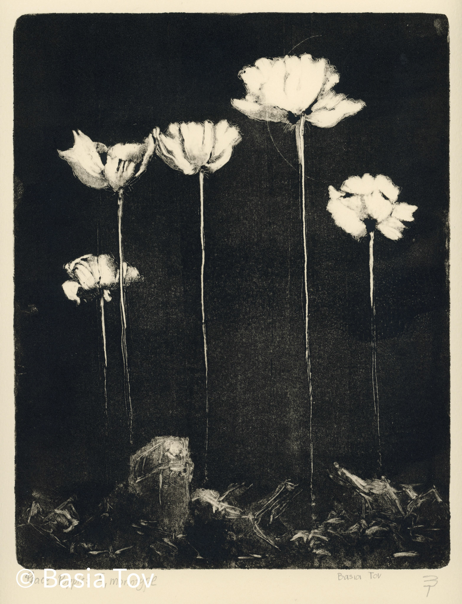 Peace Poppies - Black, Print Size 8" x 10", $210