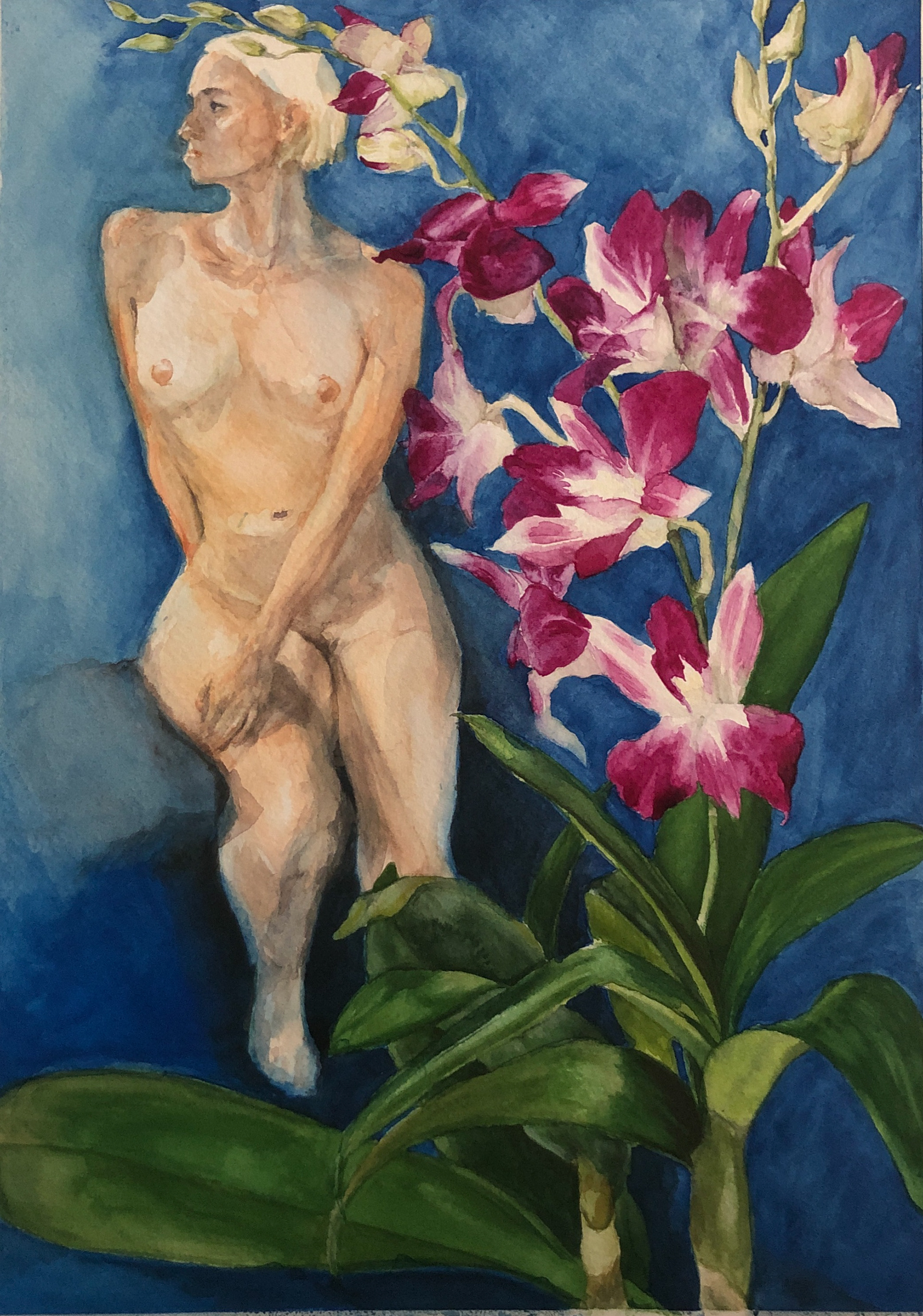 Orchid, Watercolor