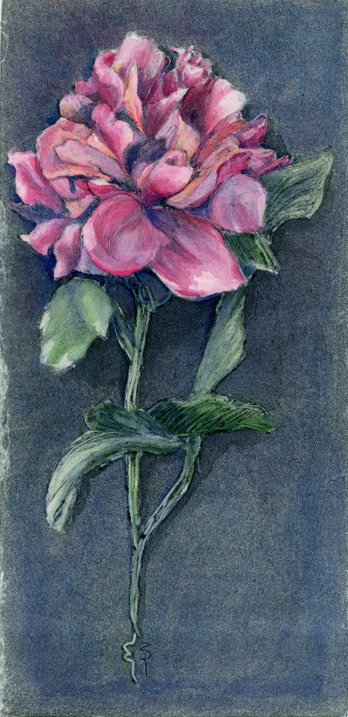 Peony 2 (ghost print and watercolor)