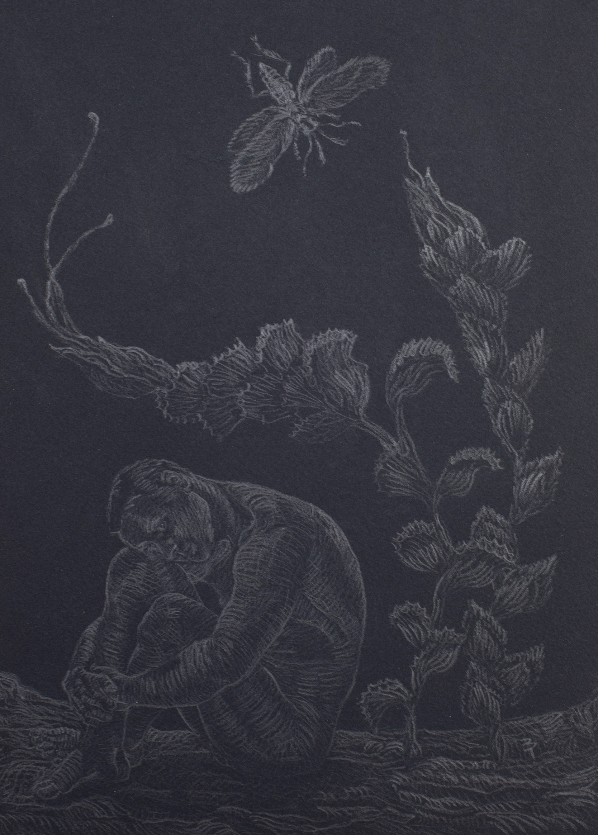Out There, 12.5"x9", Graphite