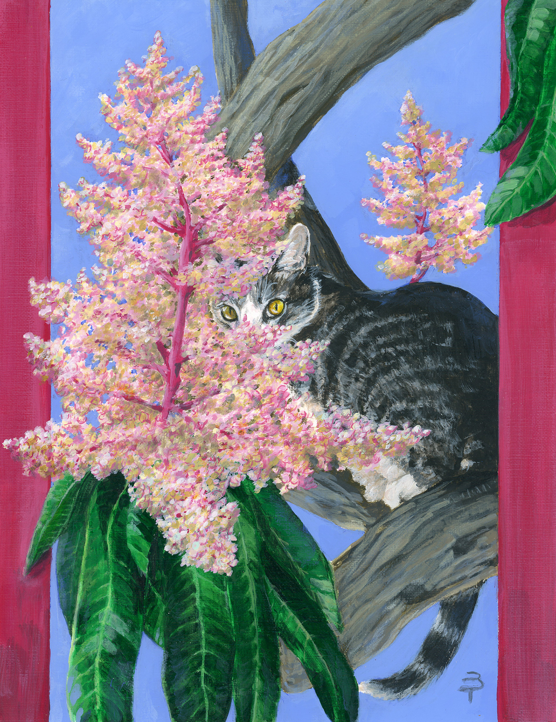 Mango, Acrylic paint on paper, 10.5" x 8.5"