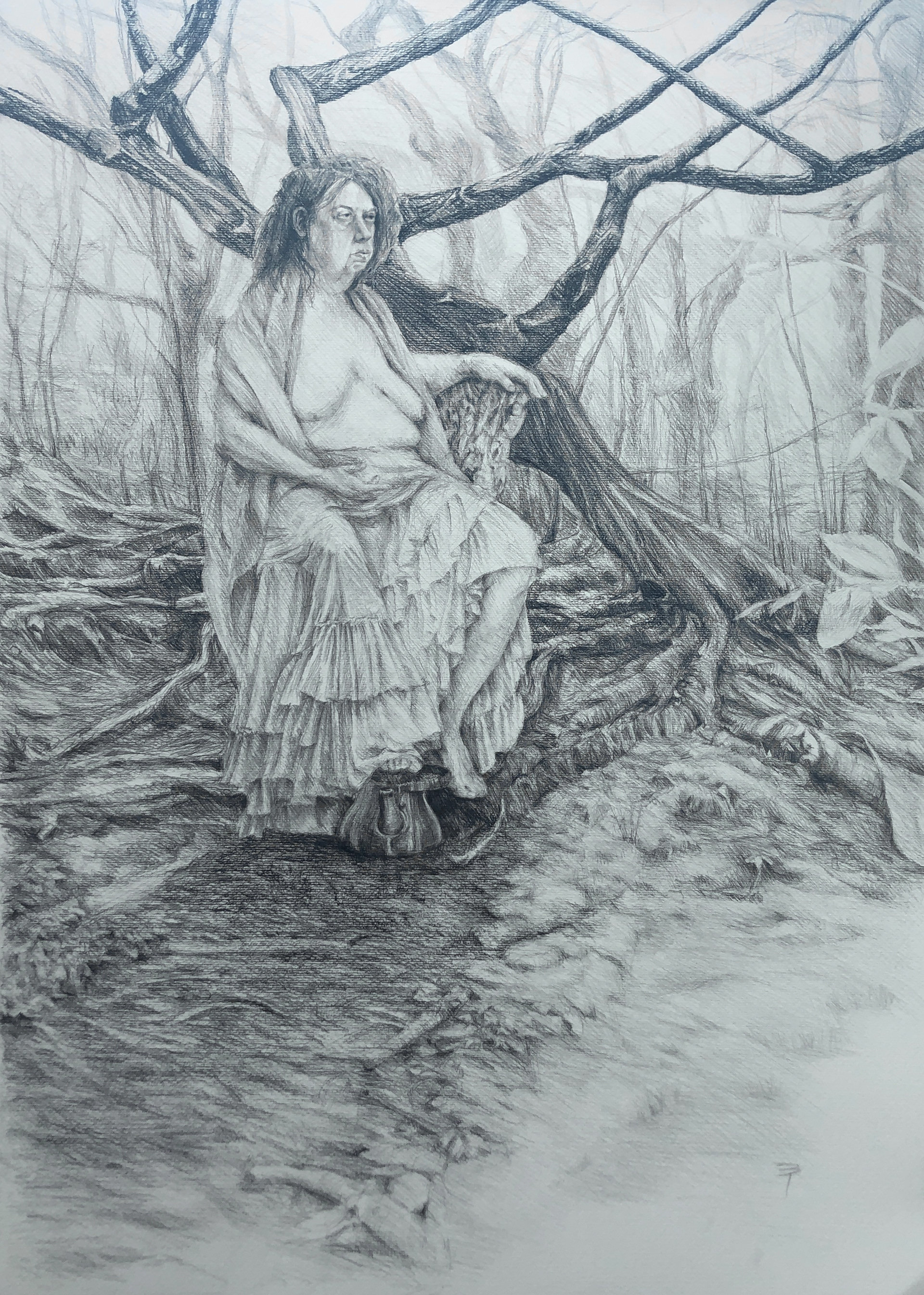 Forest, Graphite, 27" x 19"