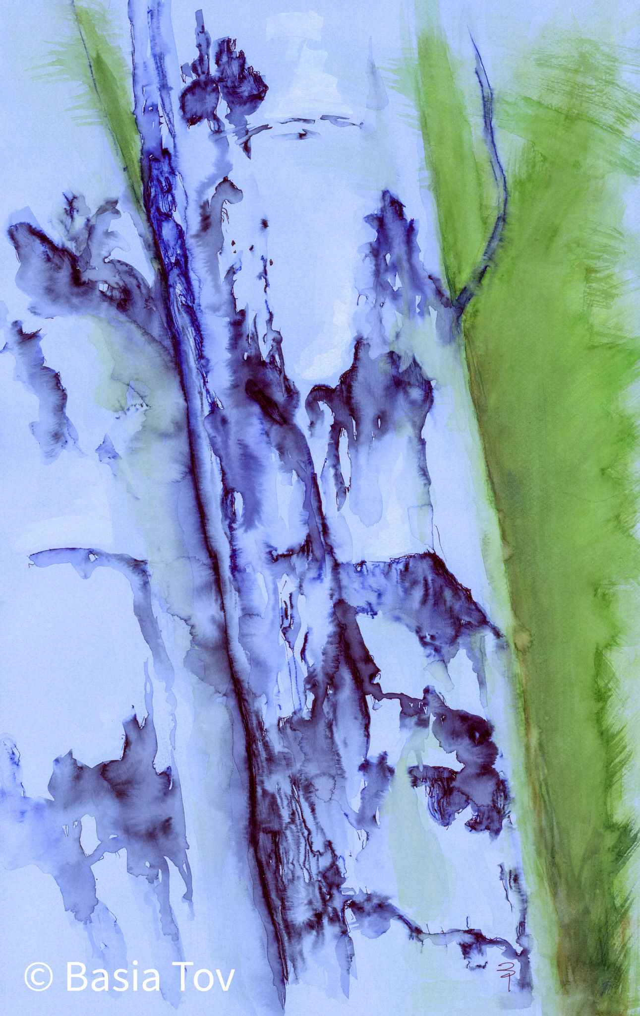 Torso 2, Print Size 19" x 12", $290