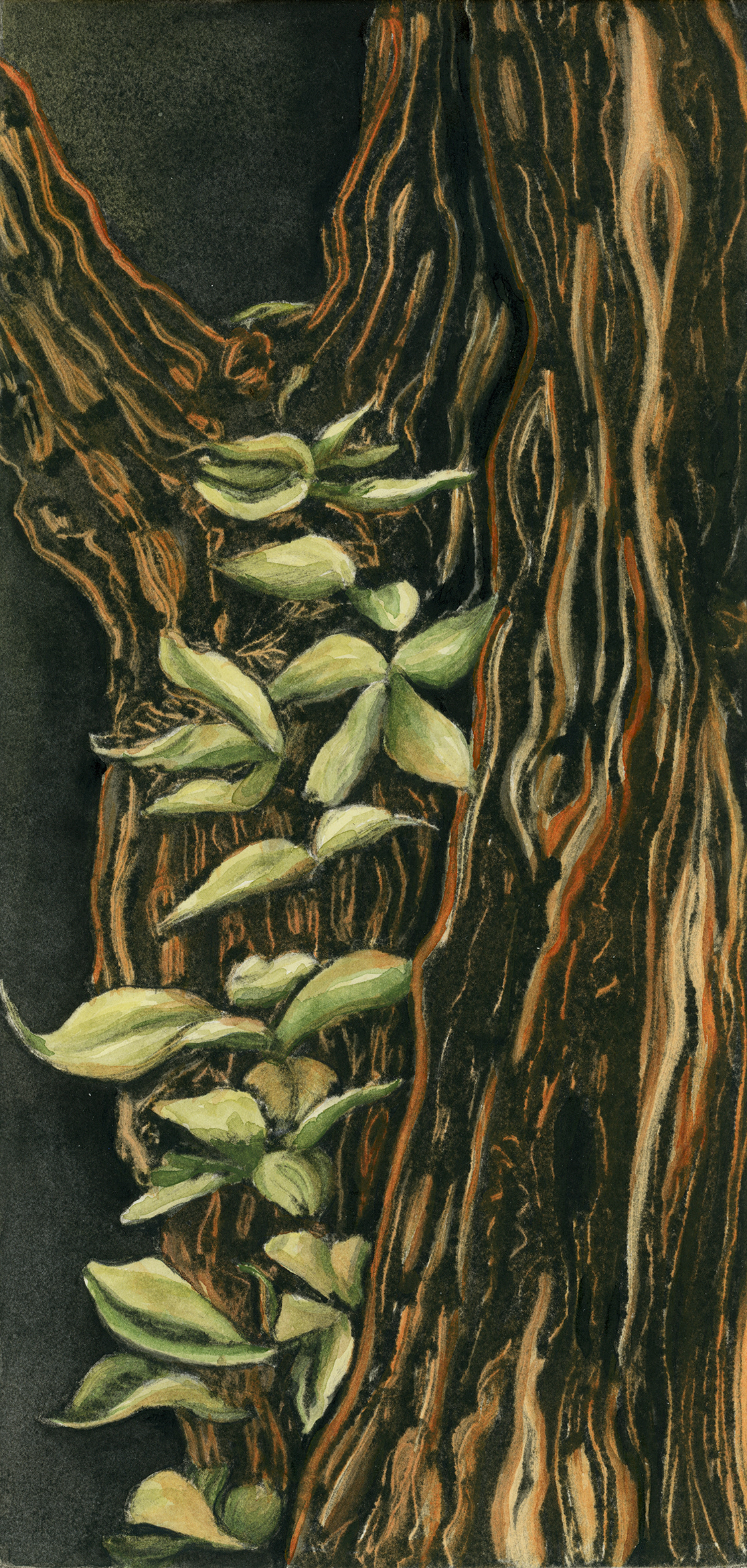 Tree with Ivy 2 (ghost print and watercolor)
