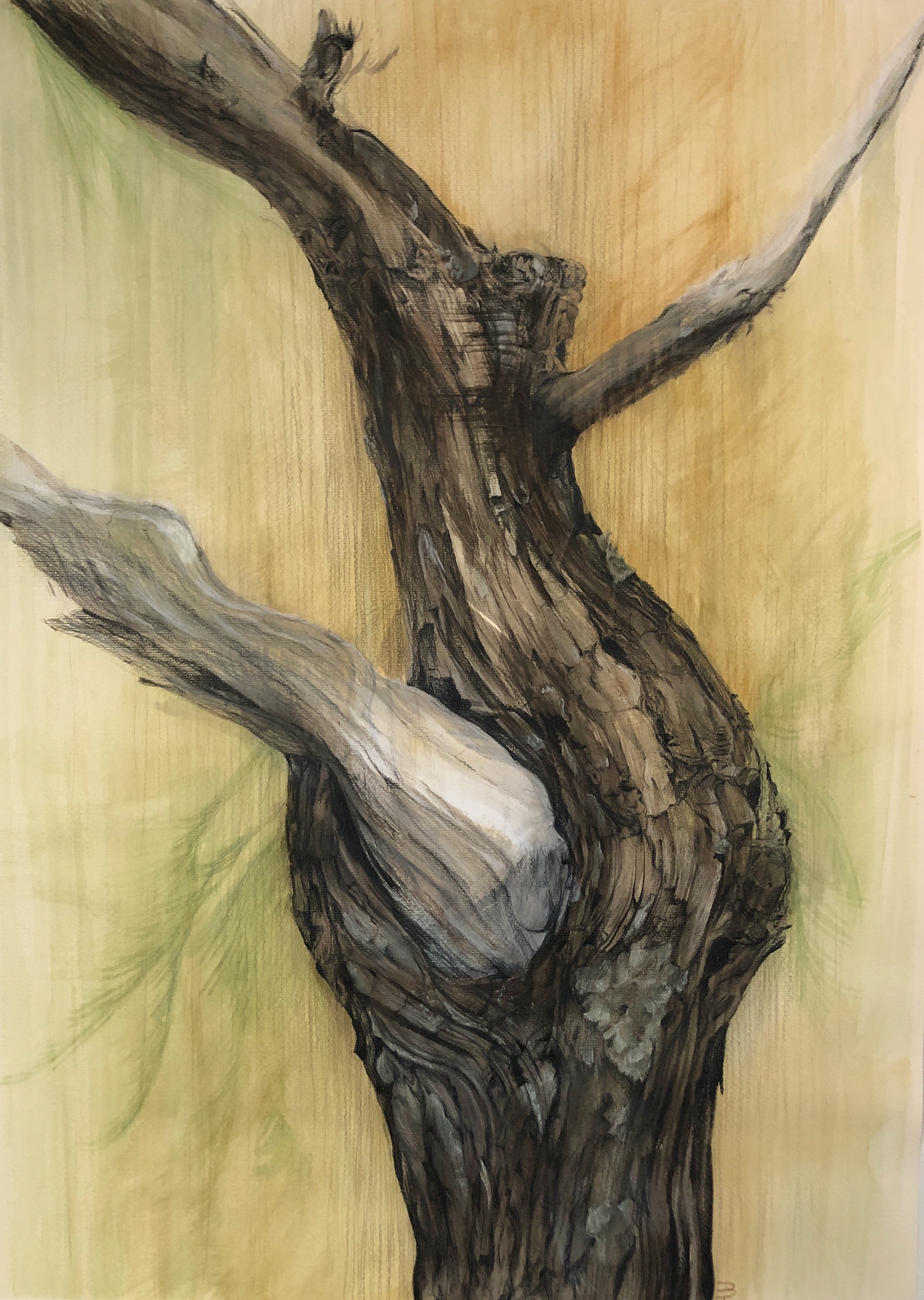 Torso 7, Watercolors and watercolor pencils